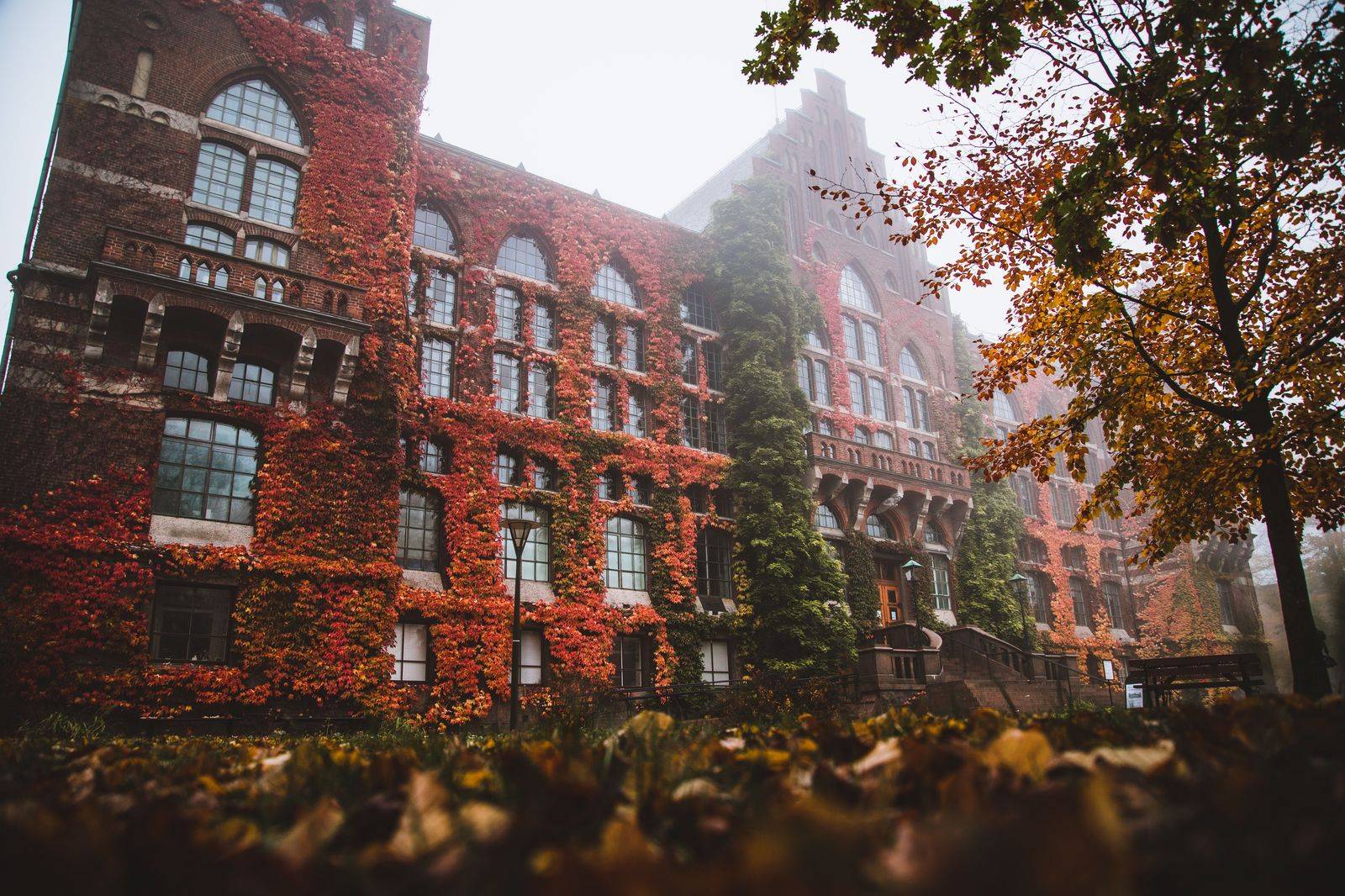 Limestone university buildings in autumn, a familiar sight for families driving to Kingston
