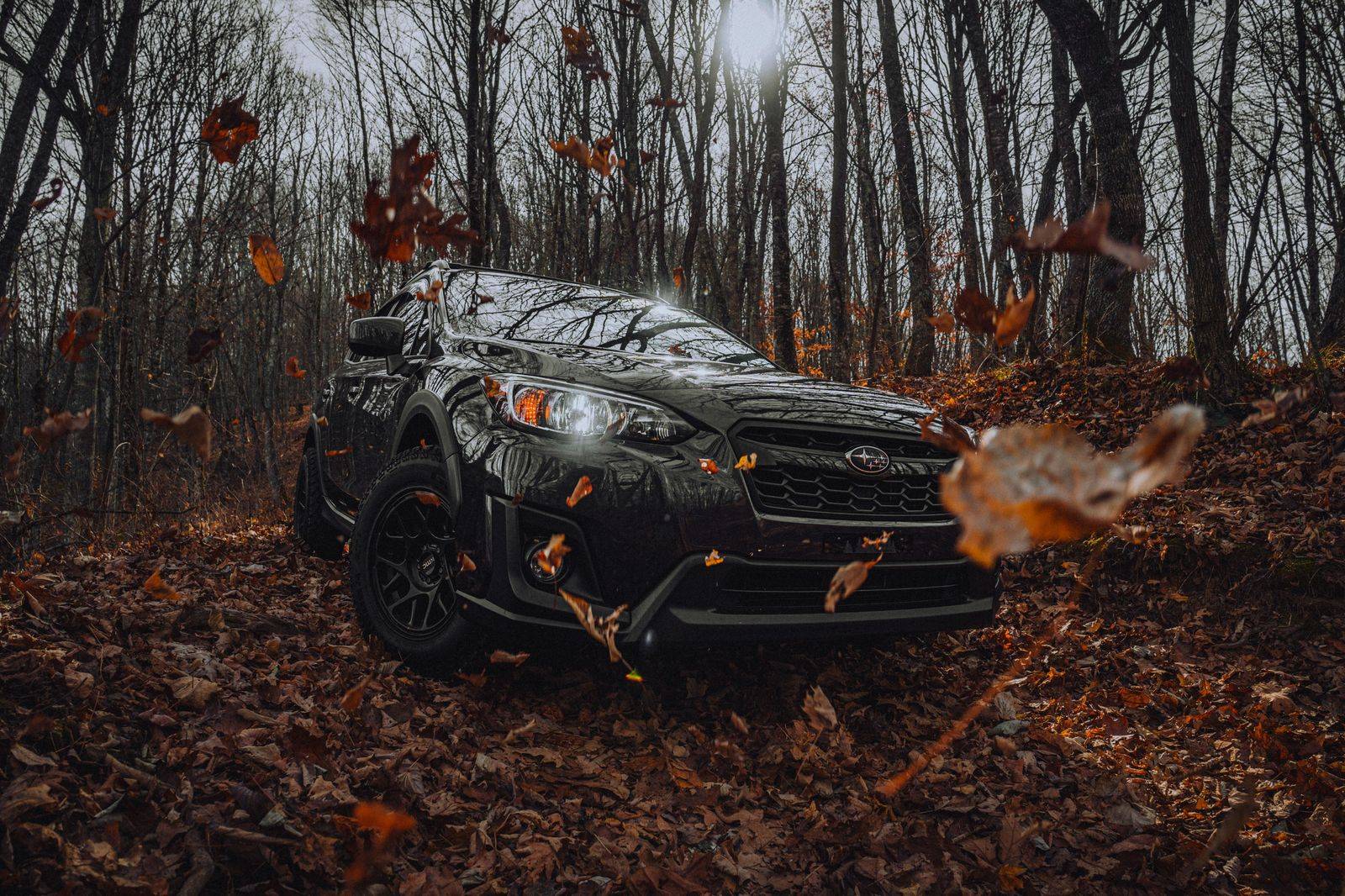 A black SUV on a forest road in autumn colours