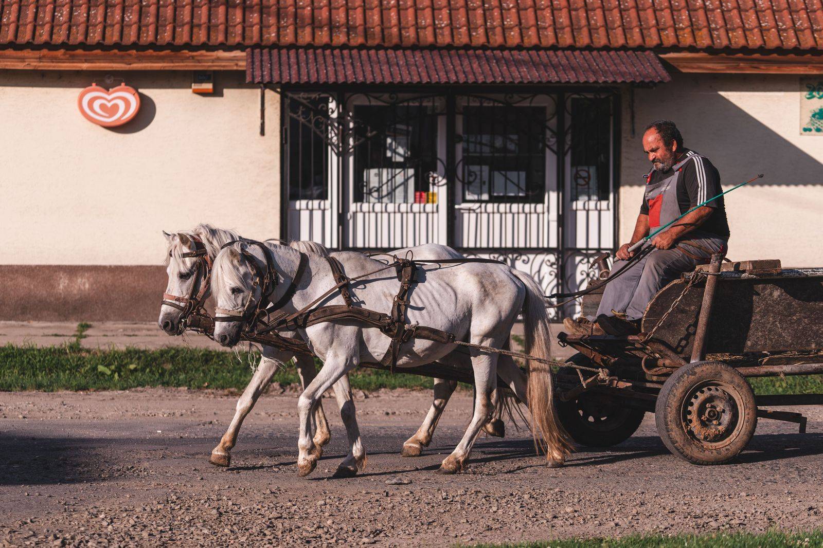 A horse-drawn wagon passing wooden heritage buildings on a farm road