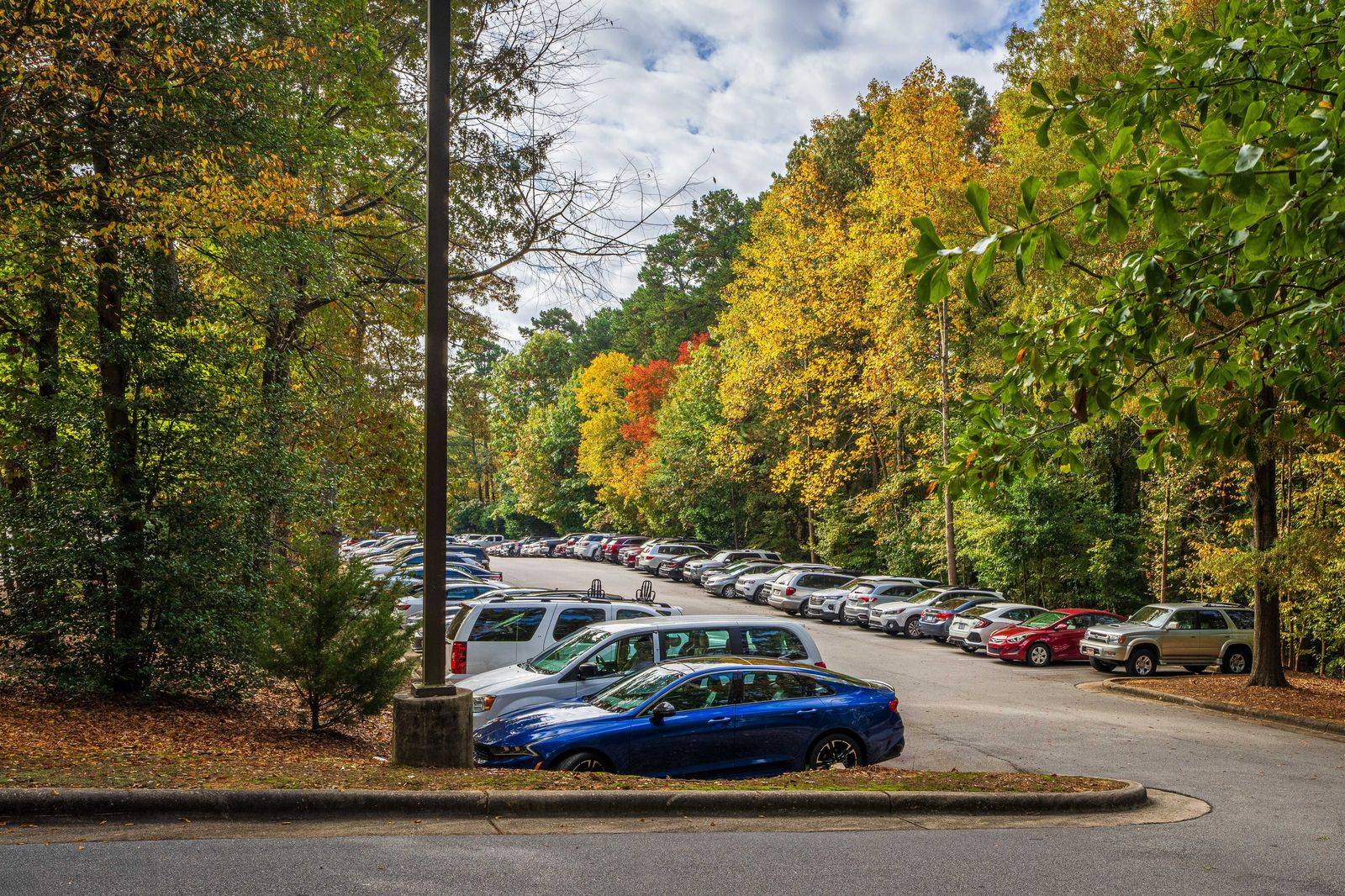 A family loading bags into a vehicle in a tree-lined parking area