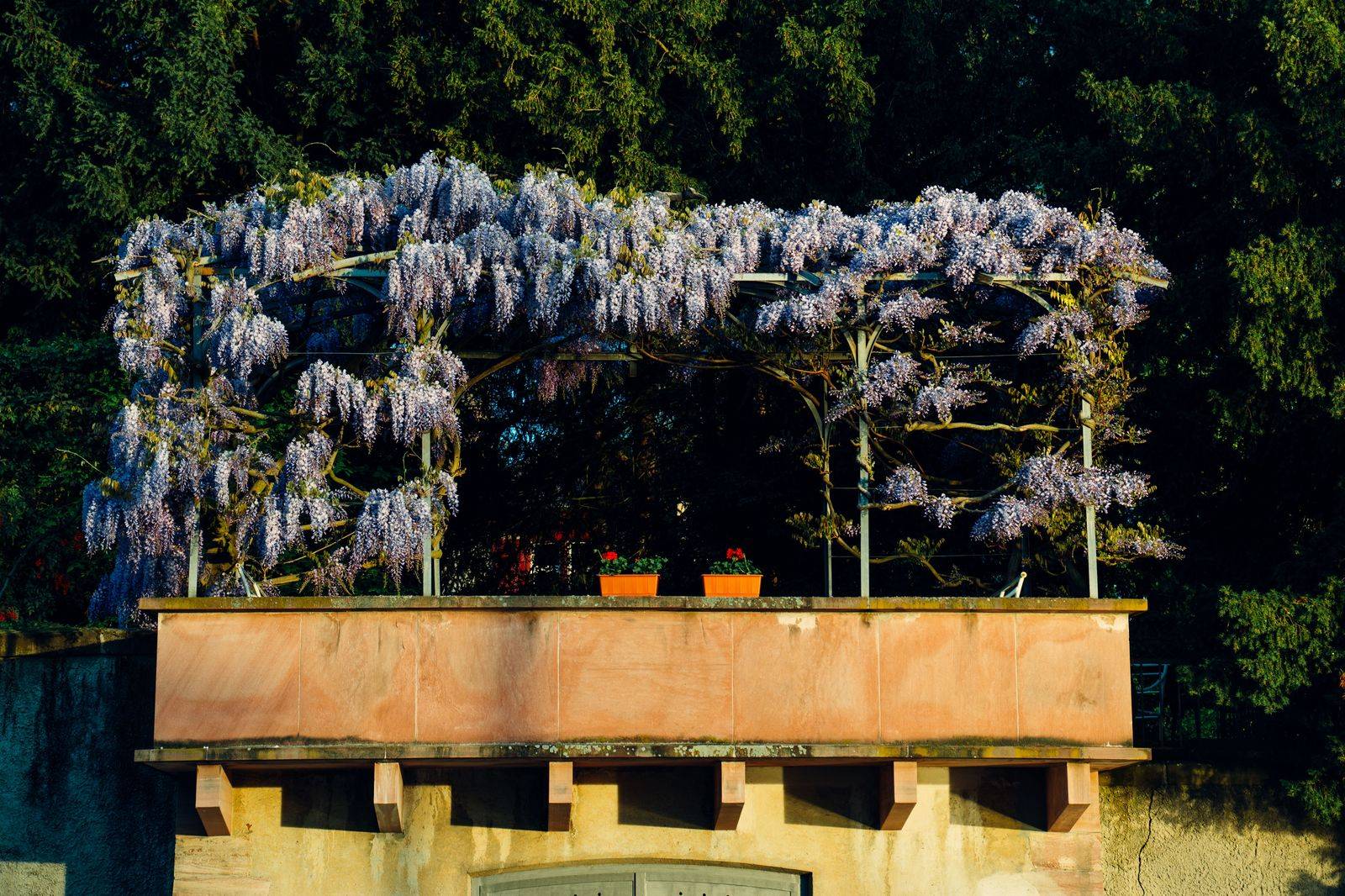 A castle garden terrace with flower beds on a summer day