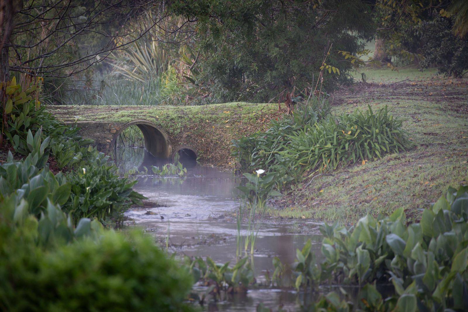 A stone bridge over a creek in the Edwards Gardens ravine, a short walk from the botanical garden entrance