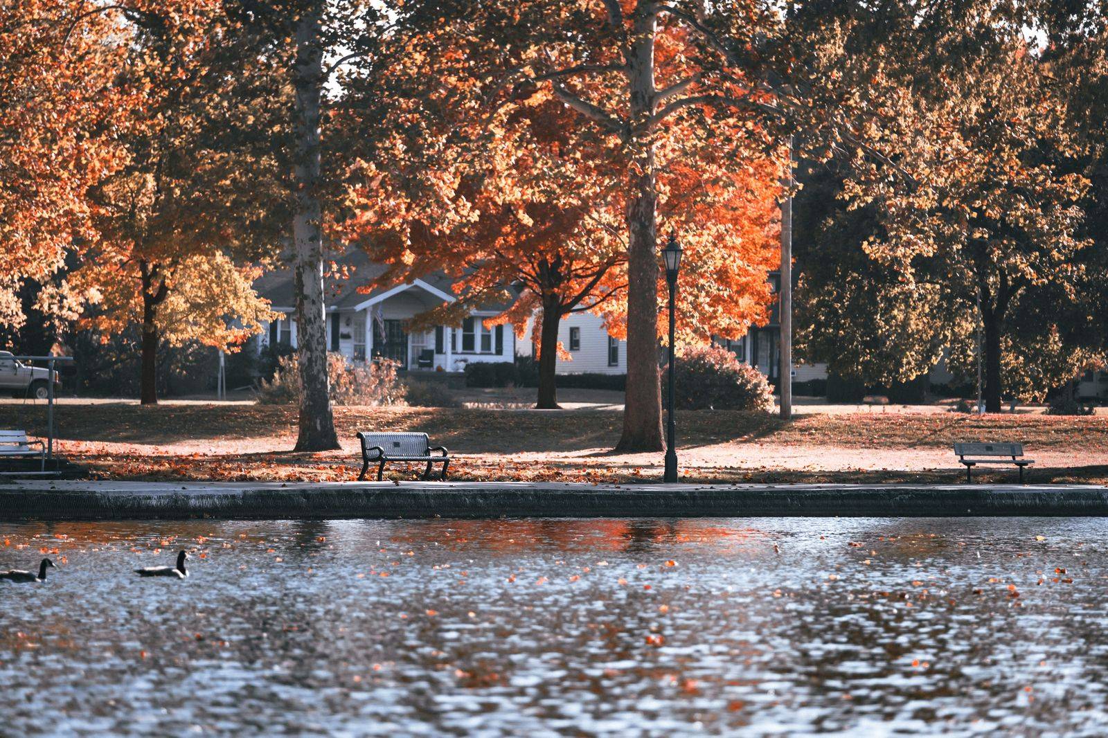 Autumn trees reflected in a quiet pond in a large city park