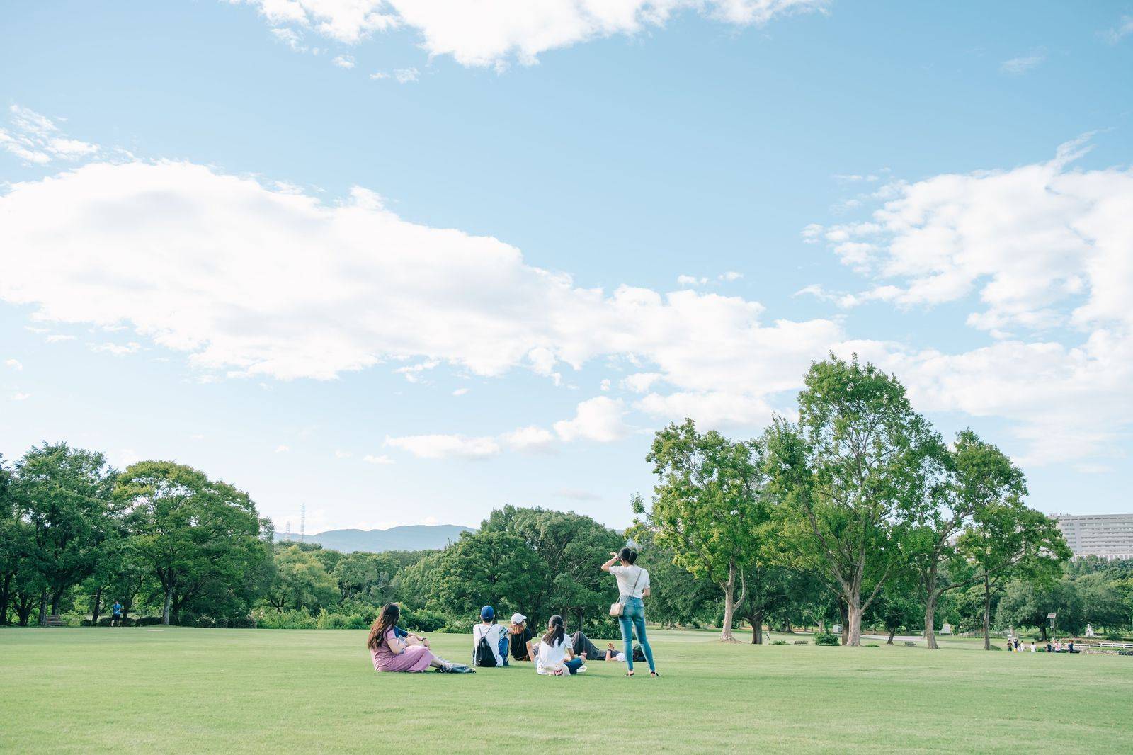 A family sharing a picnic on the grass in a sunny city park