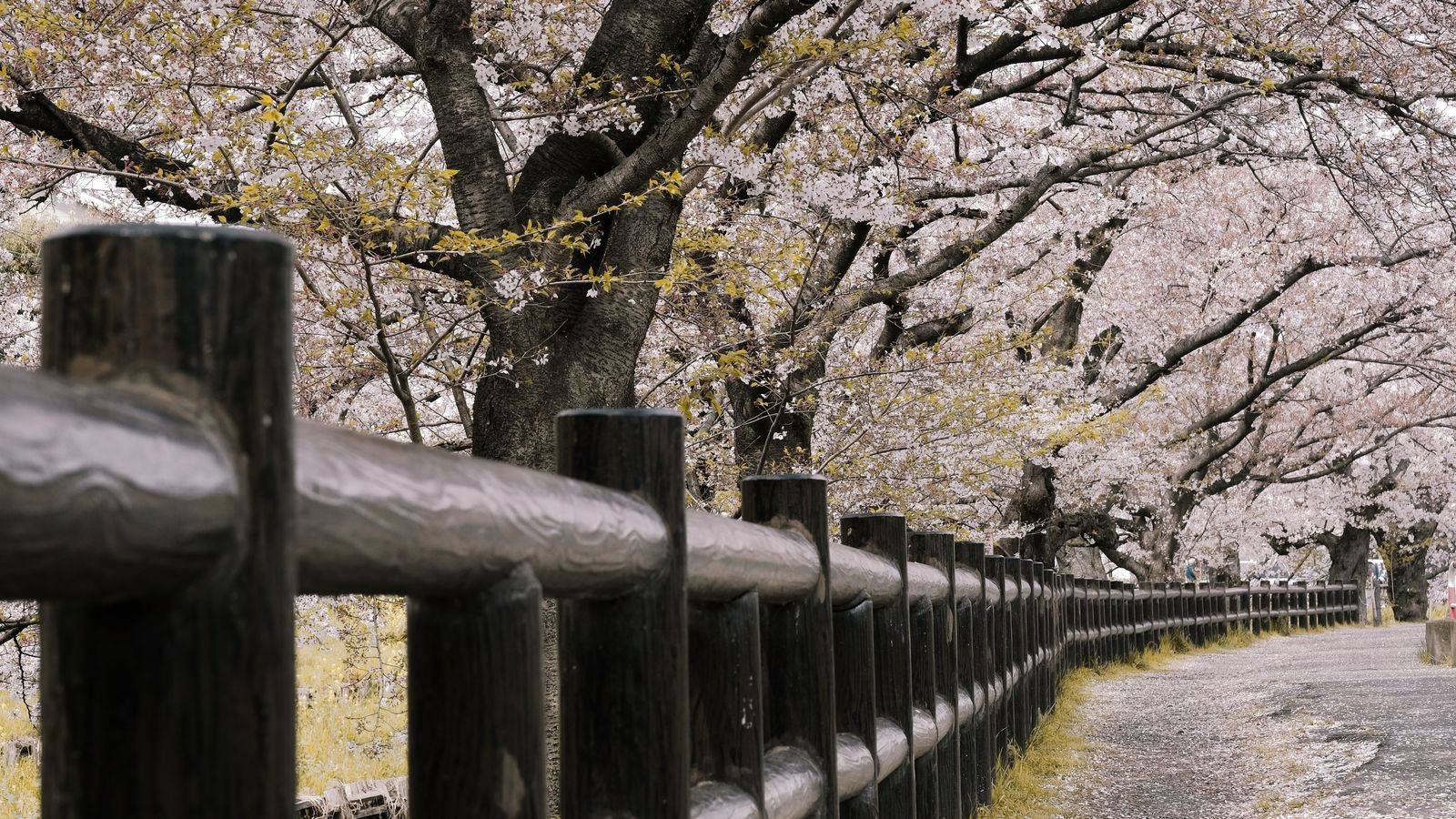 High Park