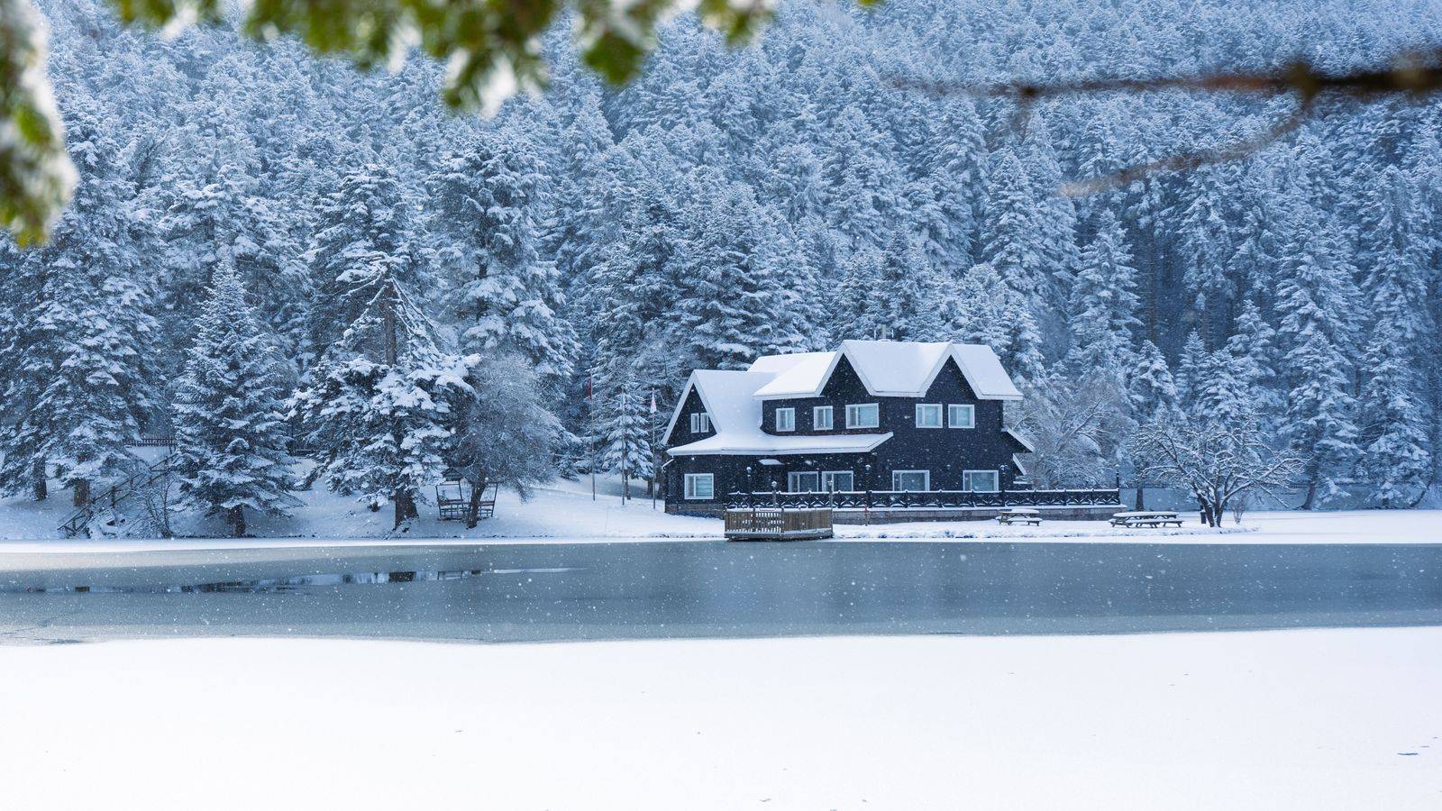 Muskoka & cottage country