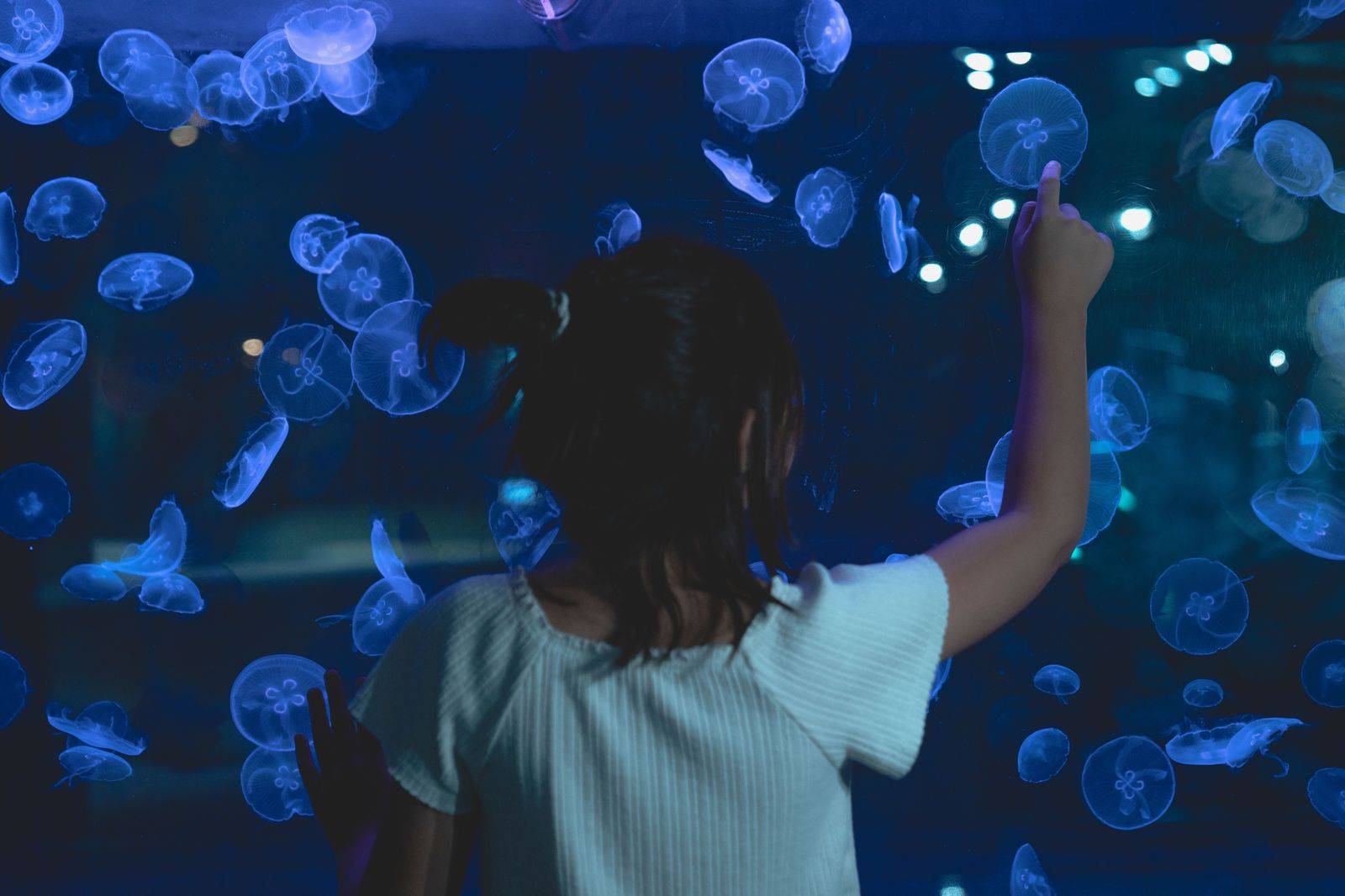 A family watching jellyfish drift in a glowing aquarium tank