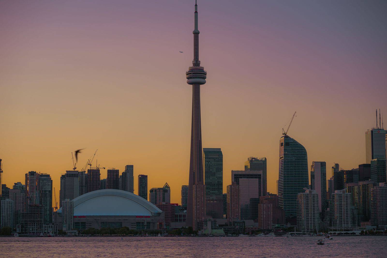 The Toronto skyline from the harbour at sunset, the view most people remember from the ferry ride back