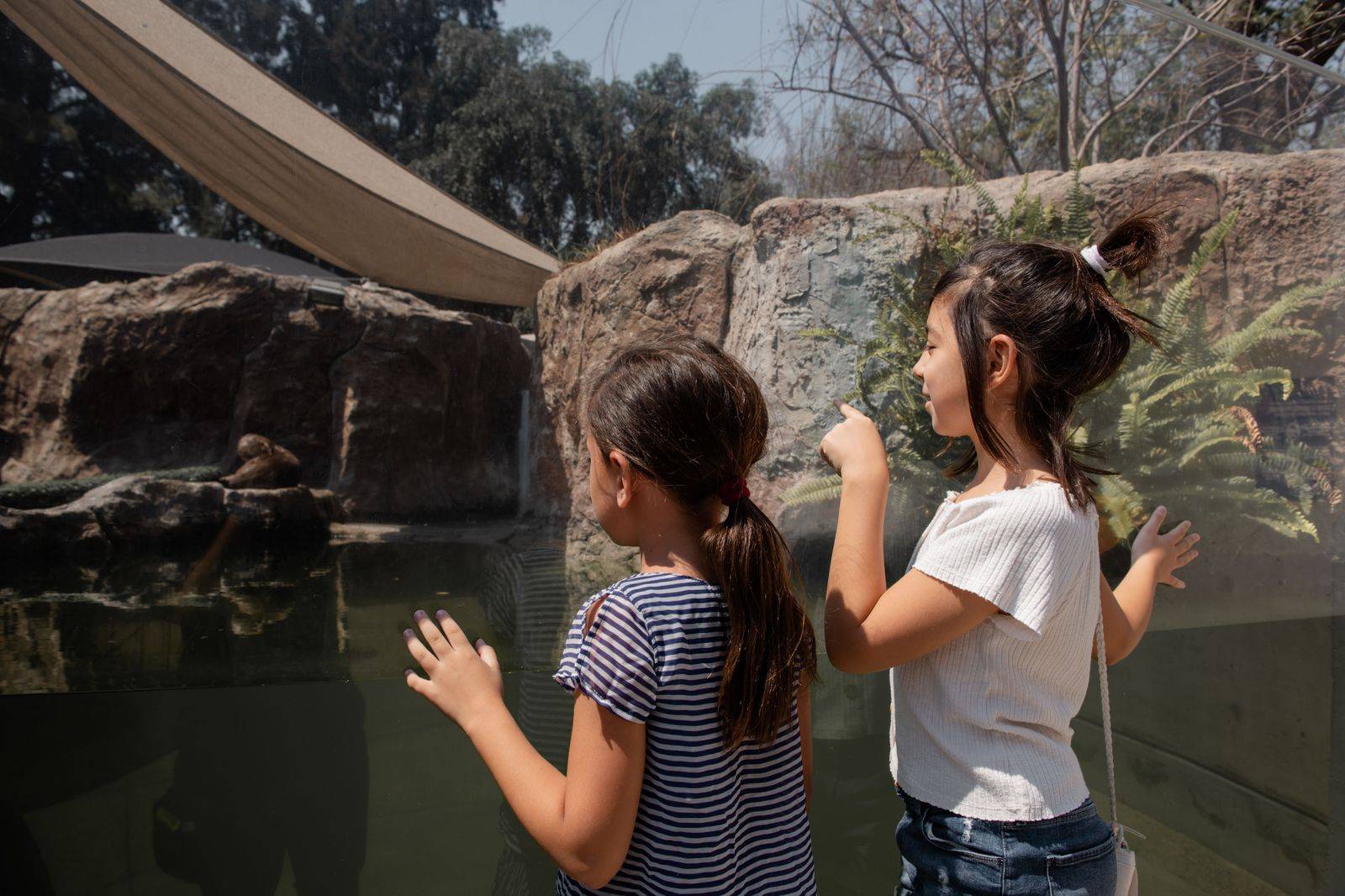 Children watching animals at the zoo, the moment the long drive east along the 401 is worth it