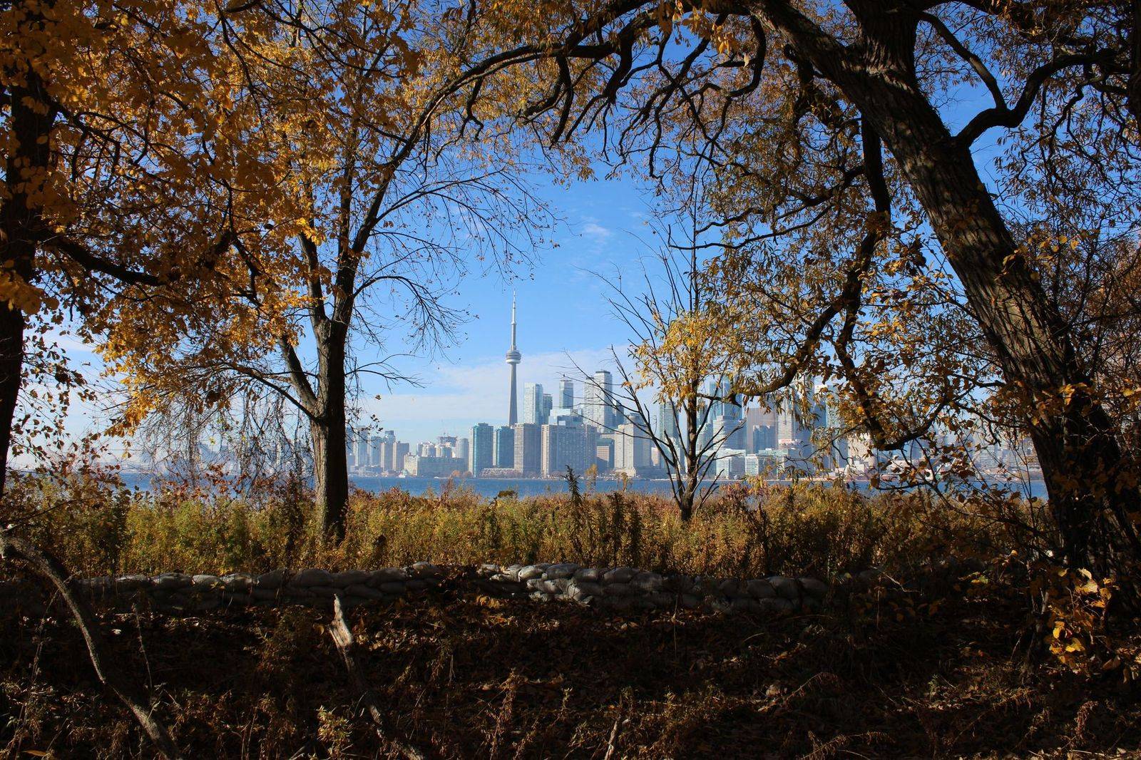 The Toronto skyline seen across the harbour from the Toronto Islands