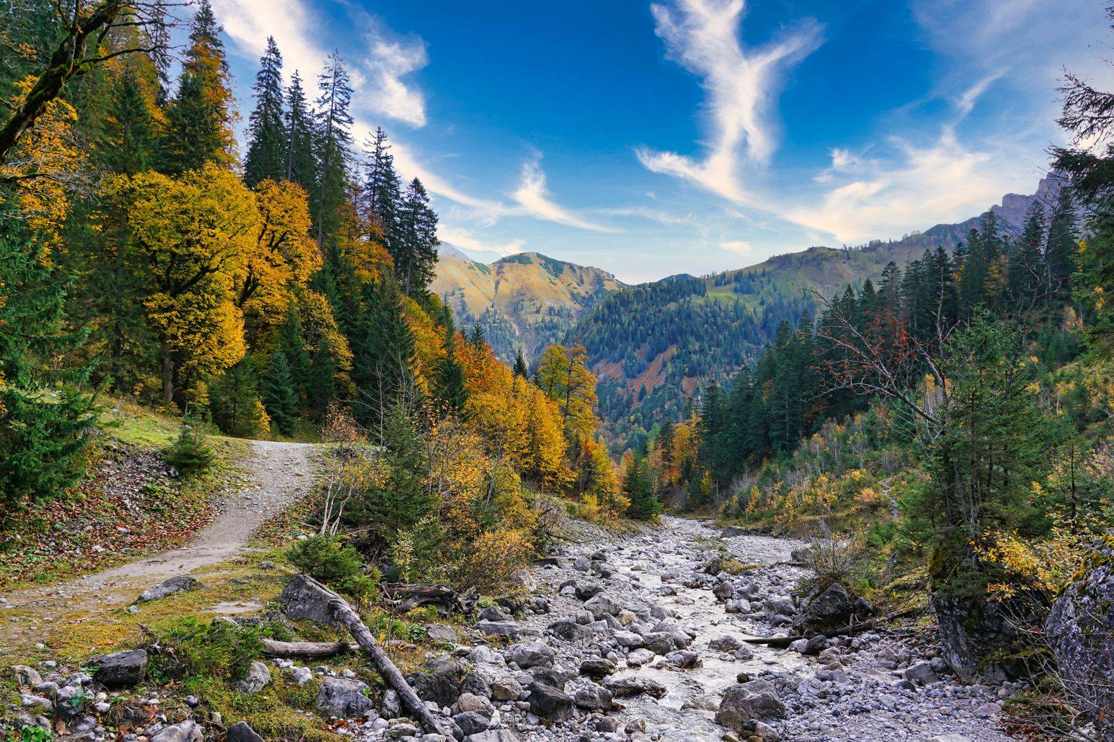 A forest trail in an autumn river valley