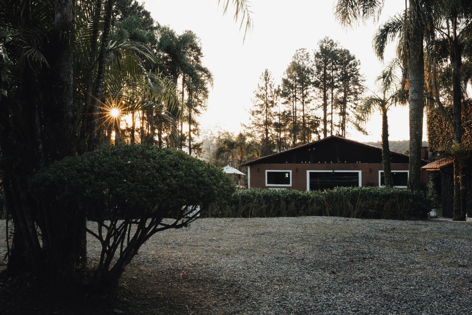 A country inn driveway at dusk after a long tasting-menu dinner outside Toronto