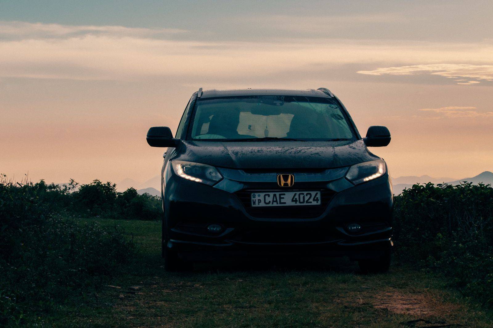 A black SUV on a vineyard road in the evening light