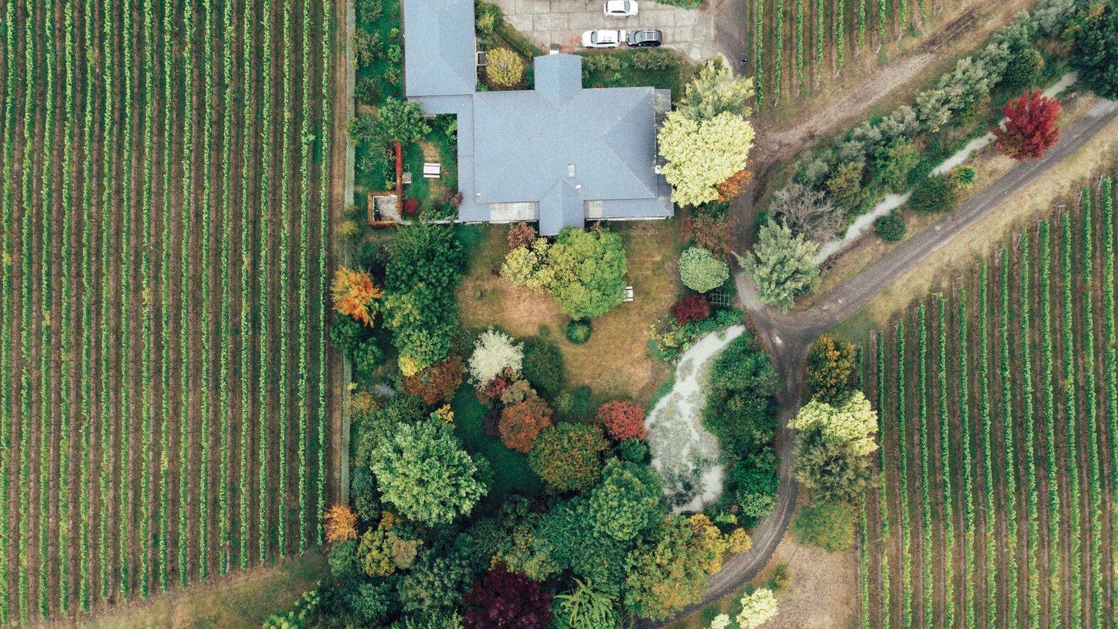 Niagara-on-the-Lake winery route