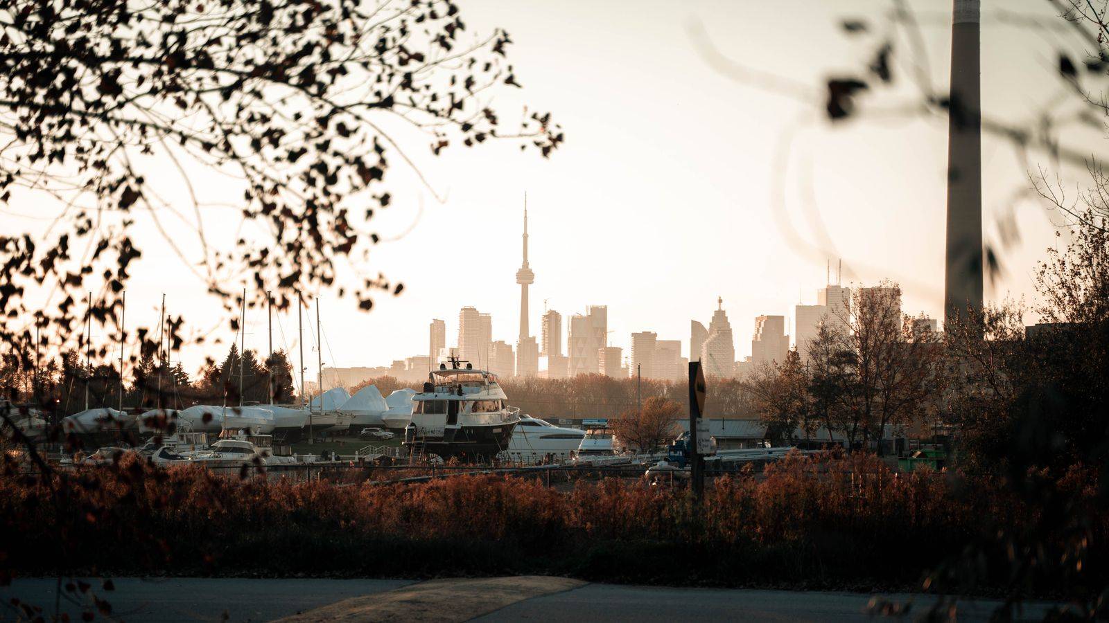 Flat-rate car Pearson to downtown
