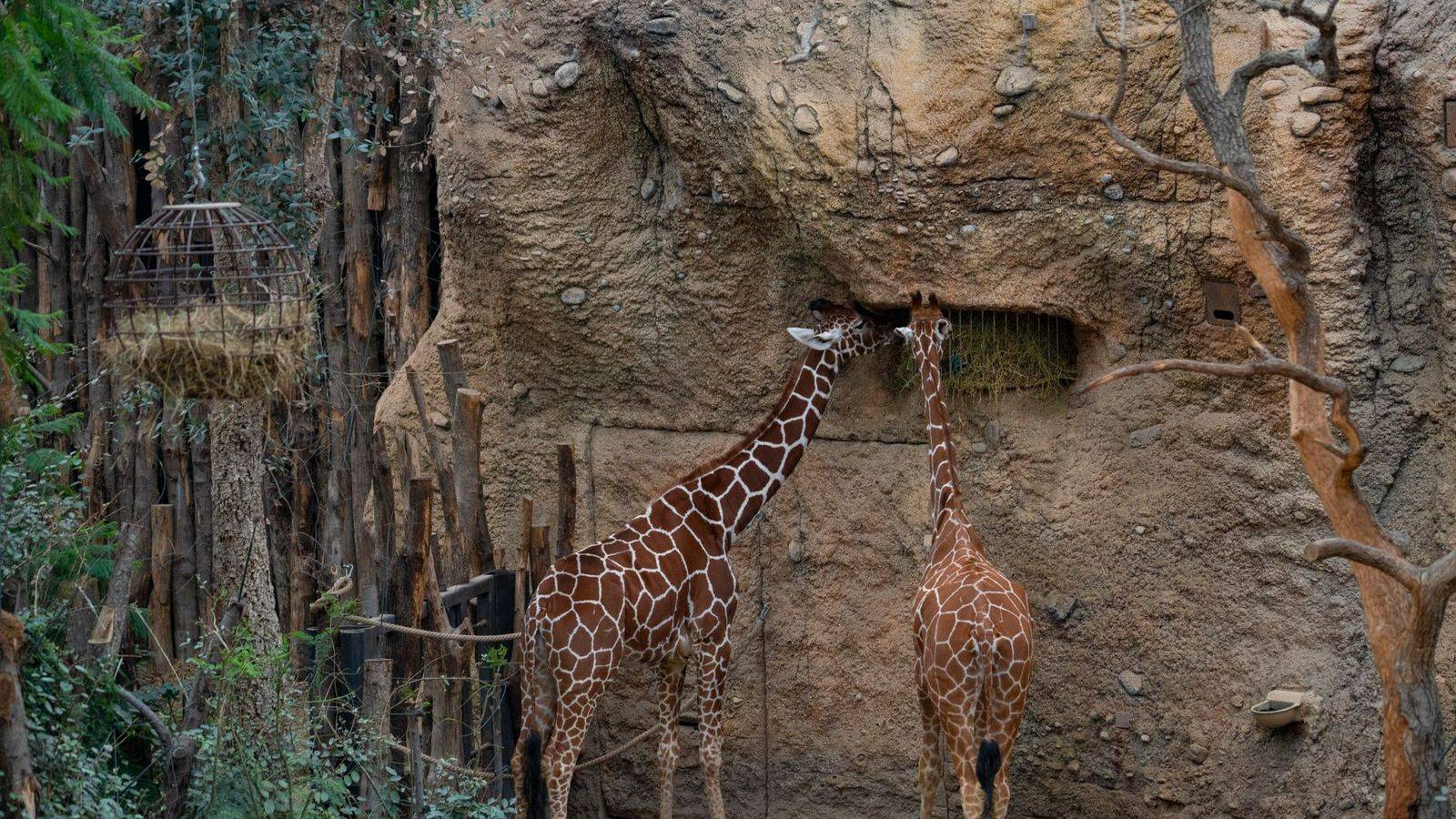 Toronto Zoo tickets