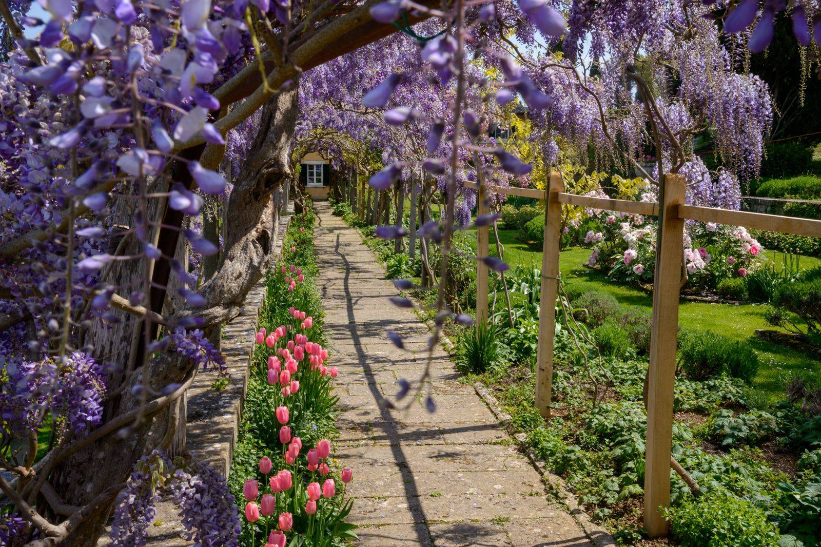 Flower beds and a winding path in a botanical garden
