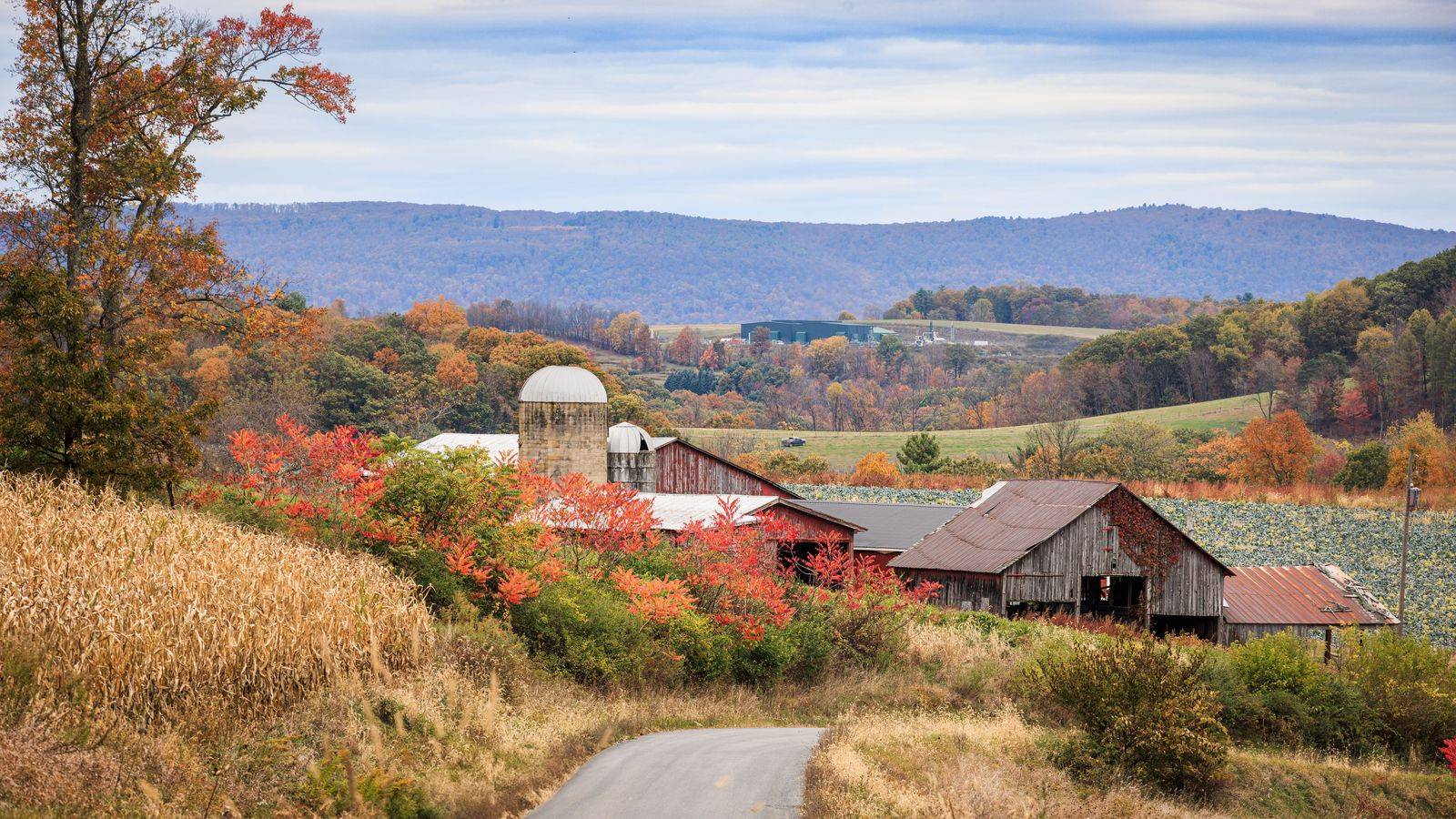 Caledon & Bolton