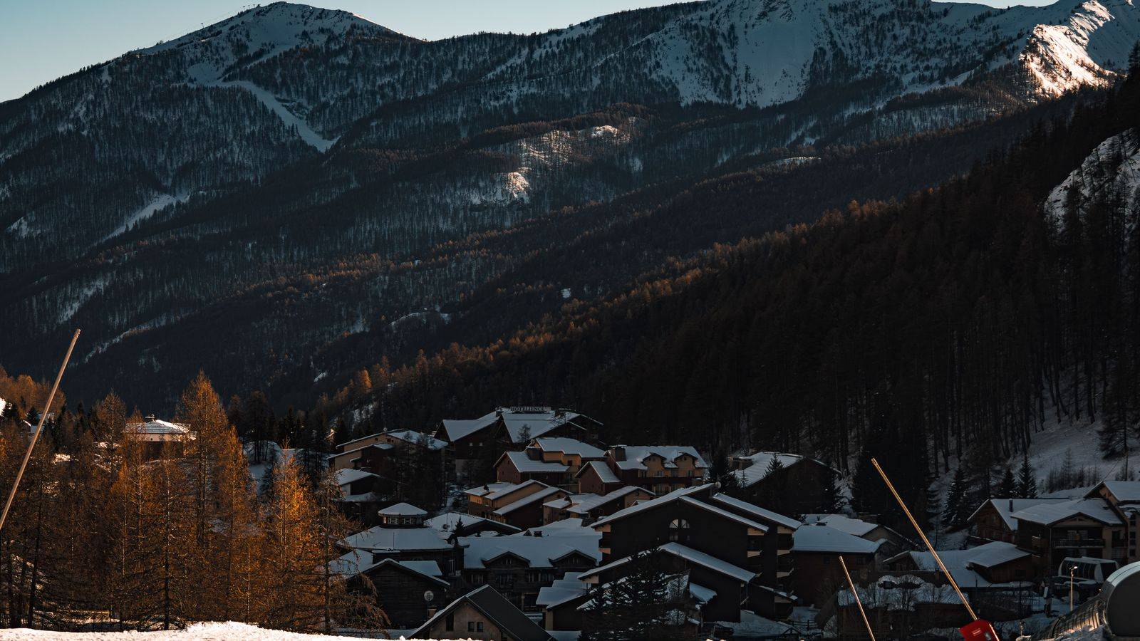 Collingwood & Blue Mountain