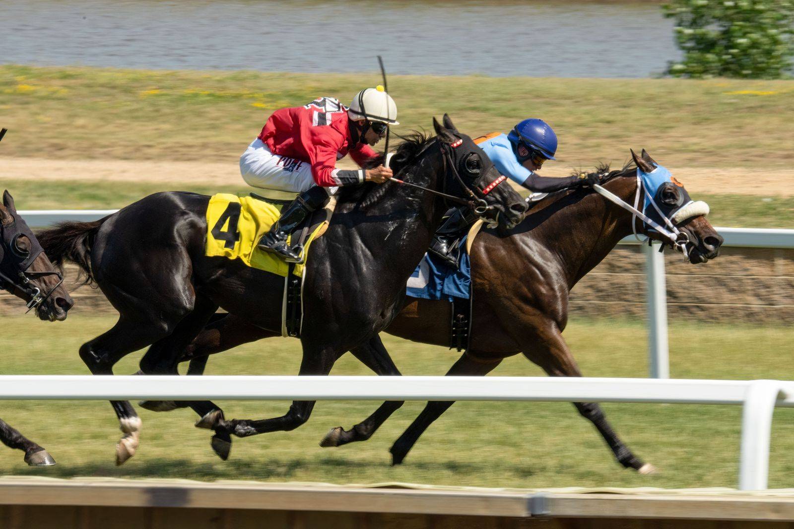 Thoroughbreds on the turf at a Niagara race day, a regular hourly chauffeur booking