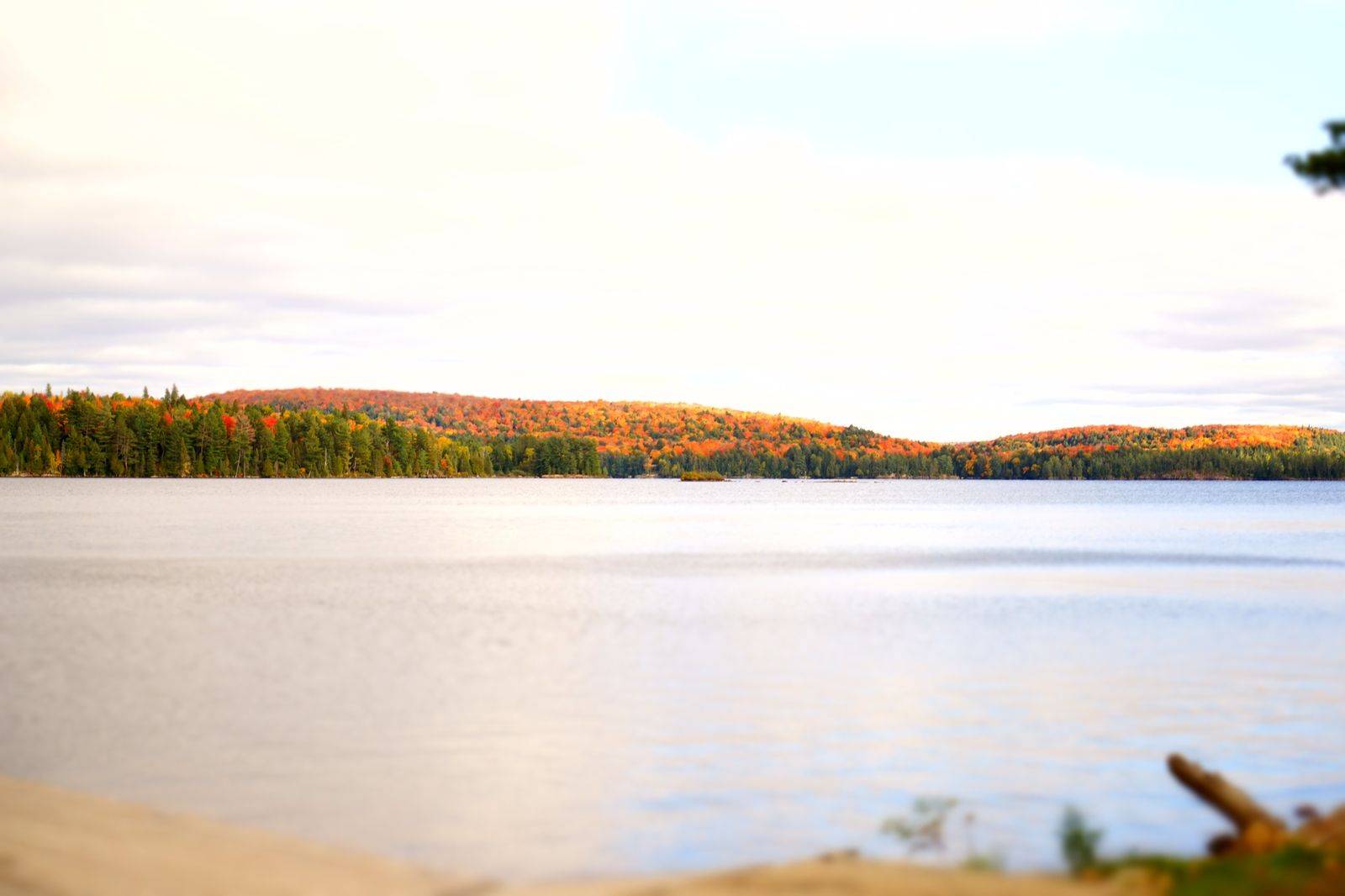 A red canoe on a calm lake surrounded by autumn forest near Algonquin Park