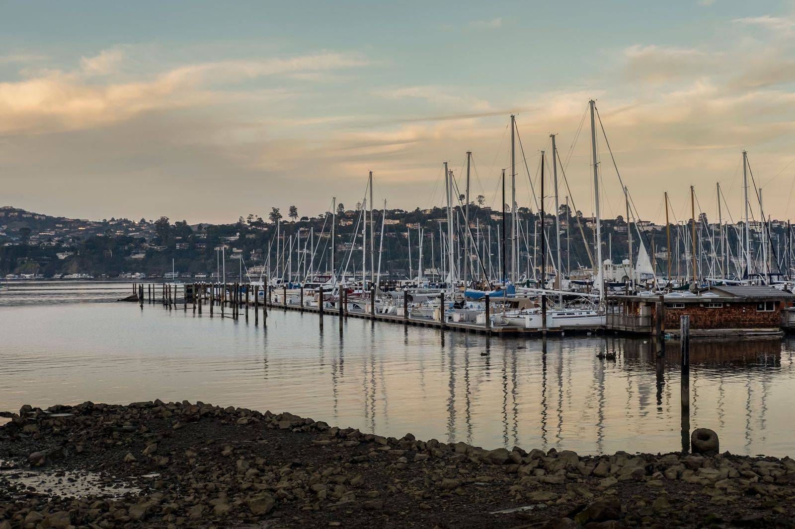 Sailboats in a lakeside harbour at sunset, the kind of evening scene around Oakville's waterfront