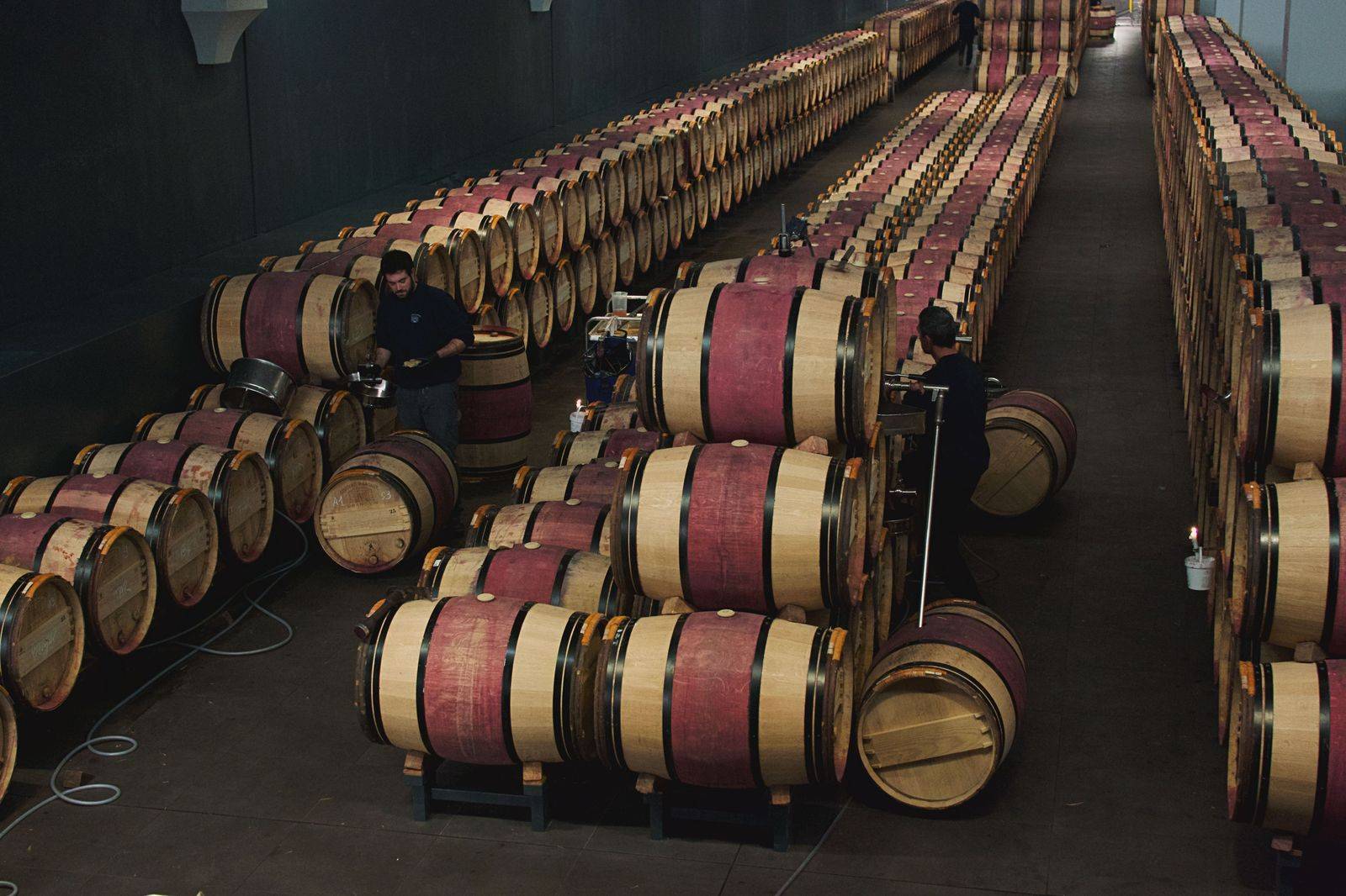 Wine glasses lined up in a barrel room during a tasting, the heart of a chauffeured County wine day
