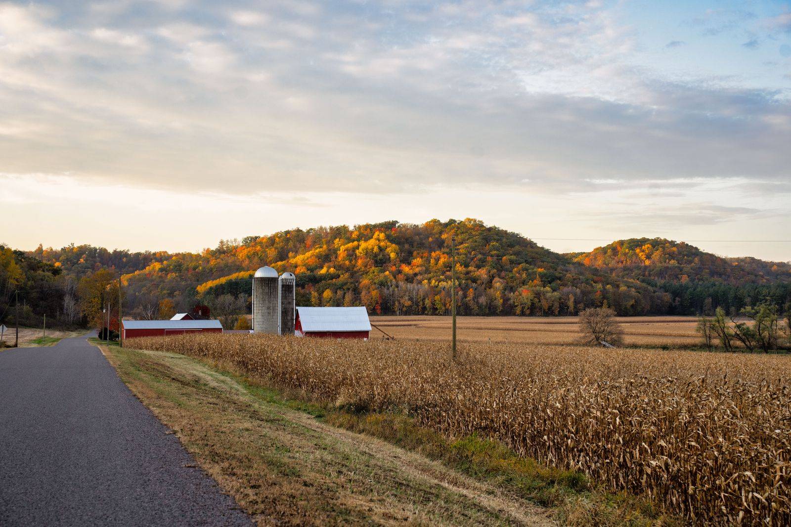 Farm fields on the Oak Ridges Moraine north of Stouffville