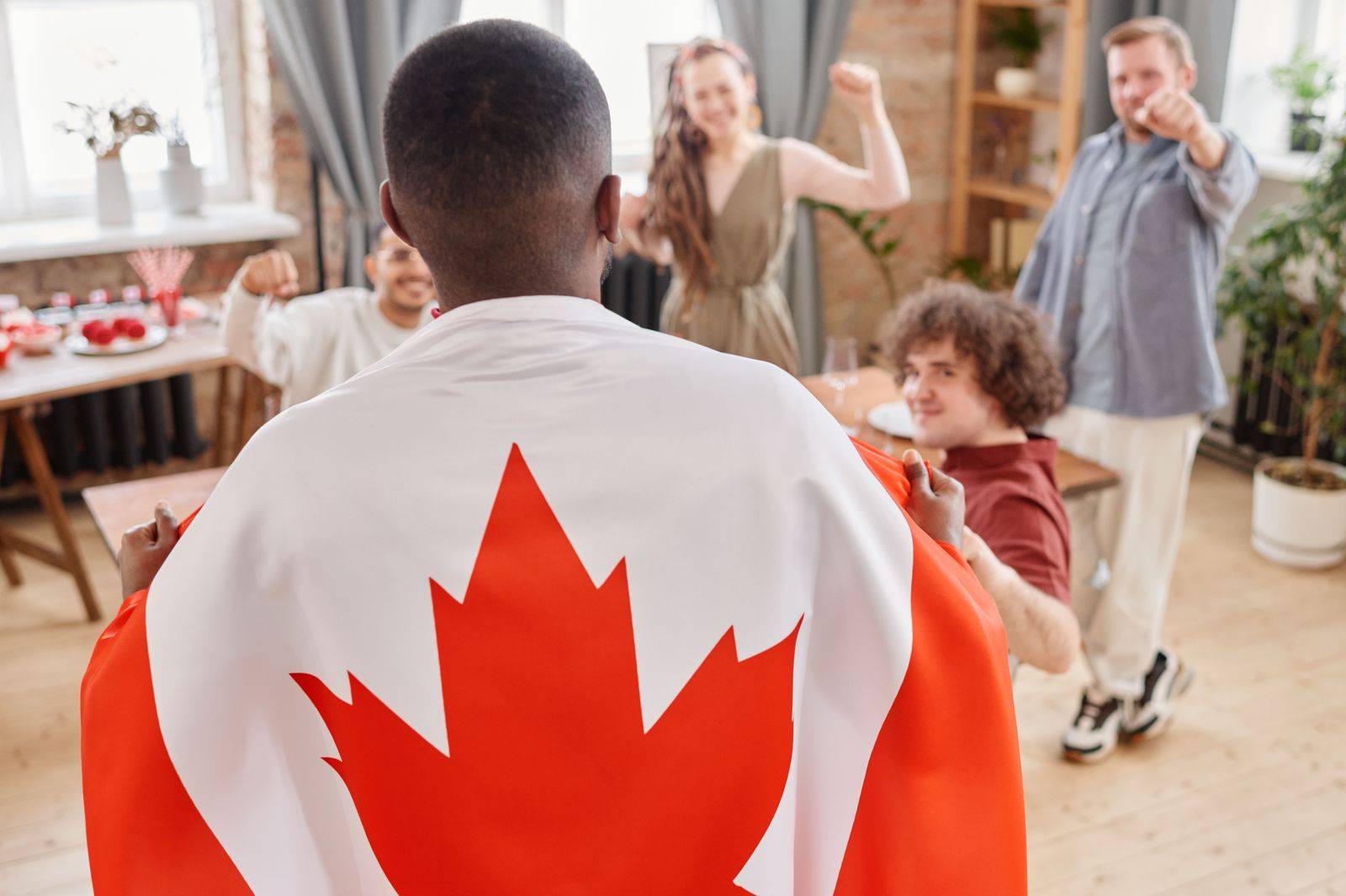 Crowds with Canadian flags gather in a Toronto park on Canada Day