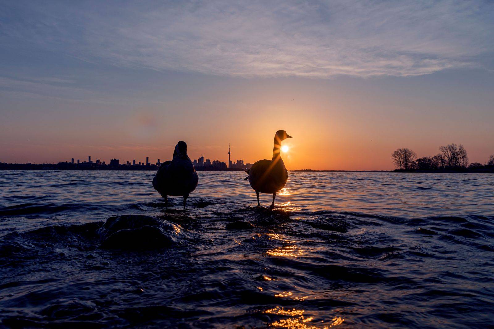 Toronto skyline over the lake on an October morning