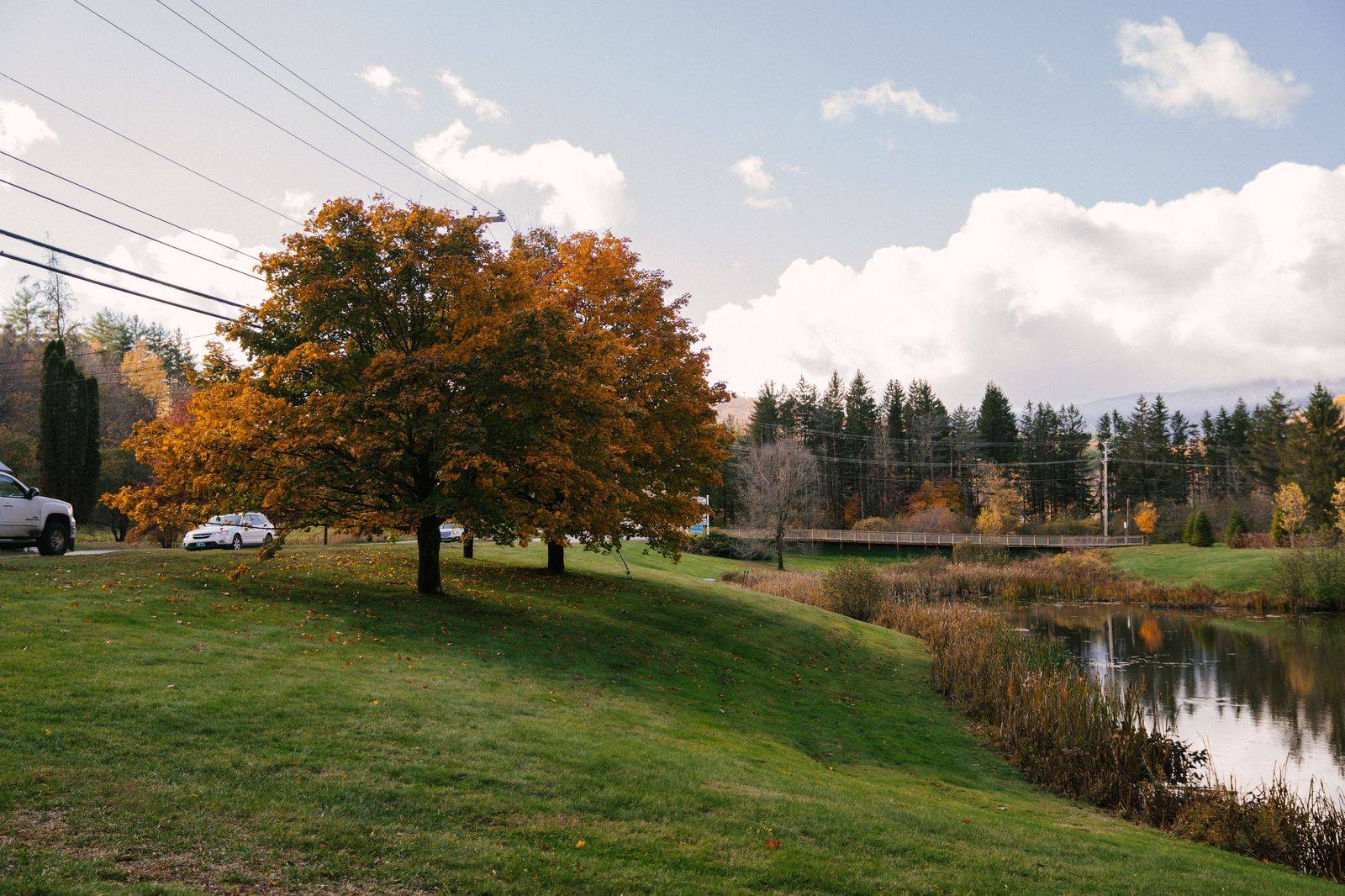 A black car on a Kawarthas country road lined with autumn colour