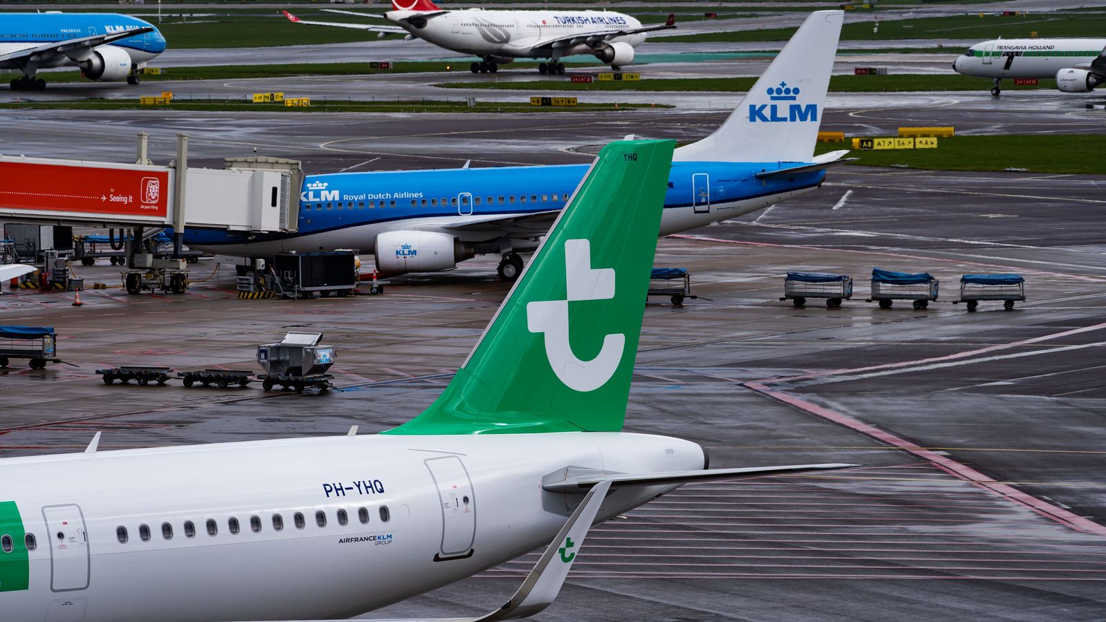 Pearson: airport taxi vs limo vs black car