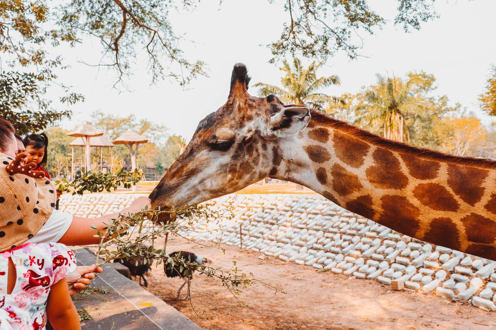 A family day at the Toronto Zoo, about 20 minutes from Scarborough hotels