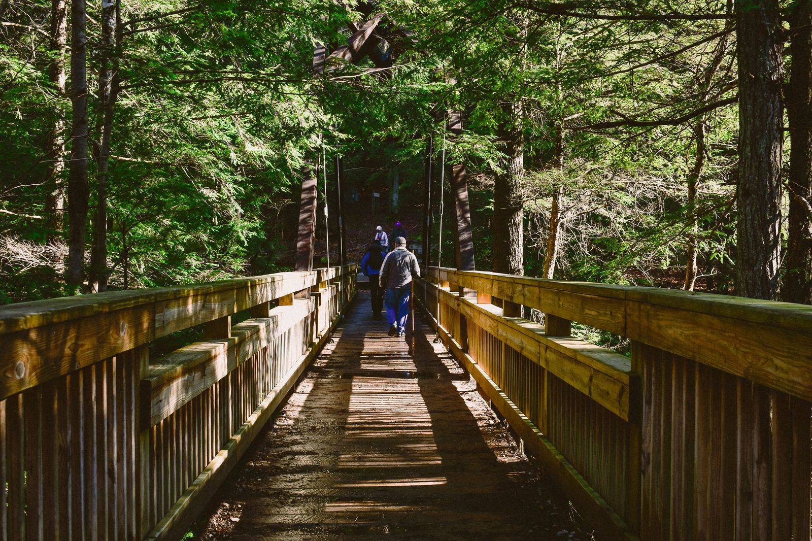 Hikers on a wooden boardwalk trail through autumn forest