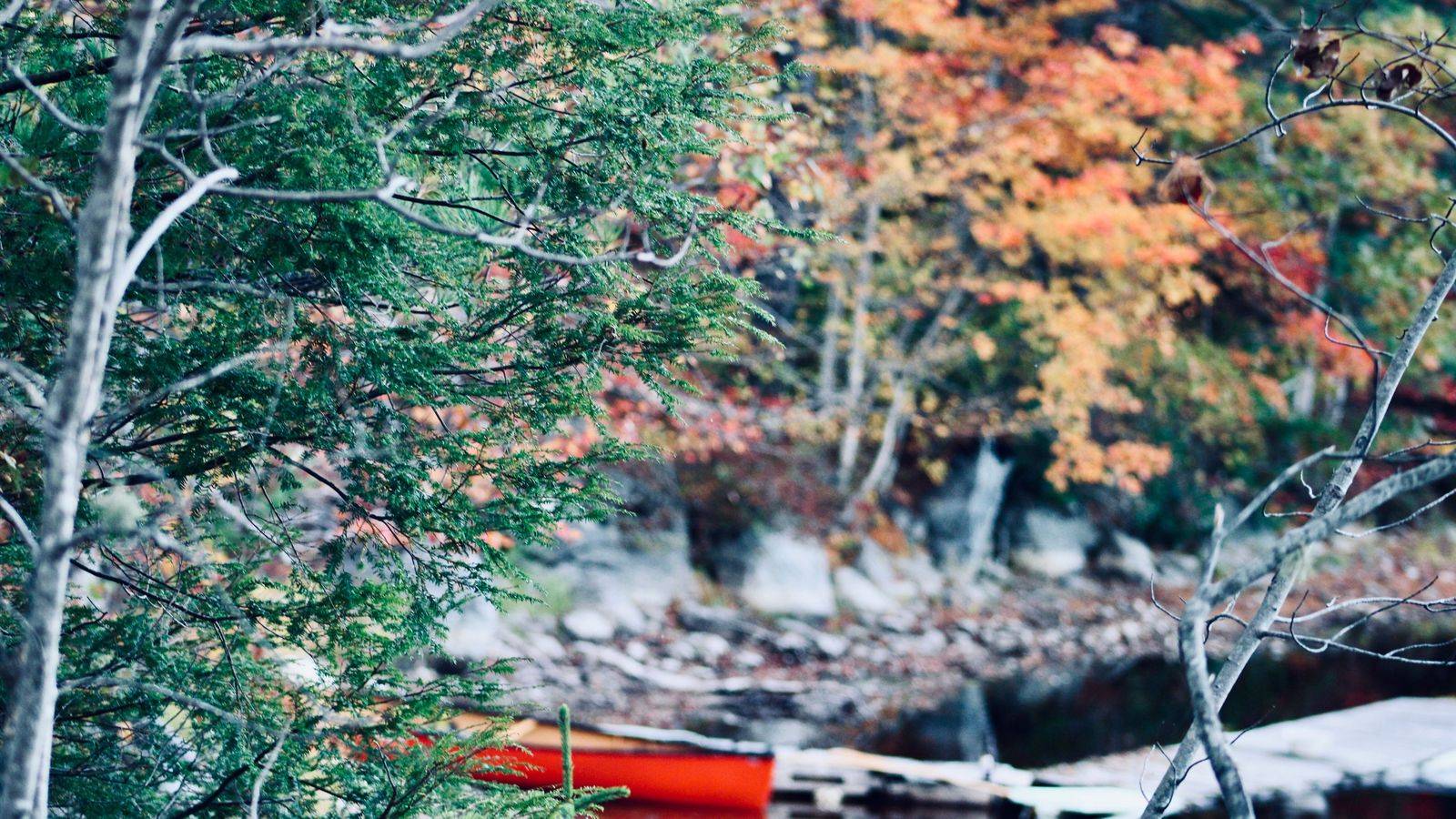 Toronto ⇄ Algonquin Park