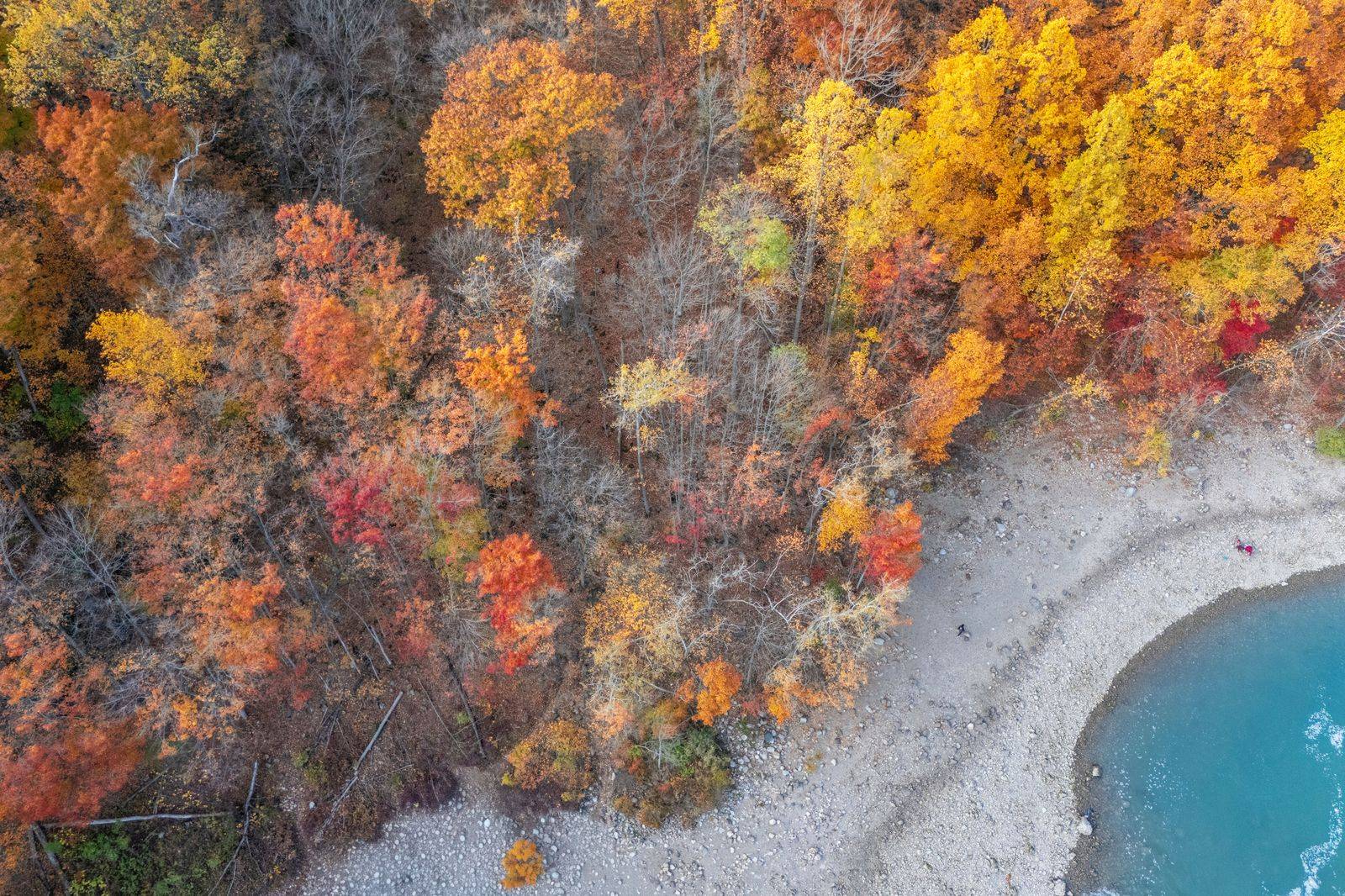 The Georgian Bay shoreline near Collingwood in autumn