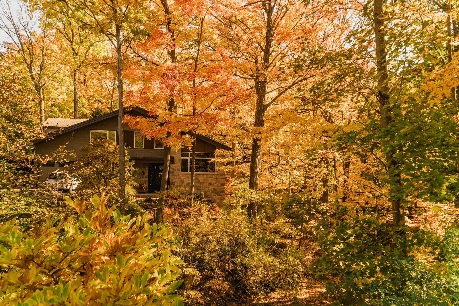 A waterfall on the Niagara Escarpment in Hamilton in autumn colour