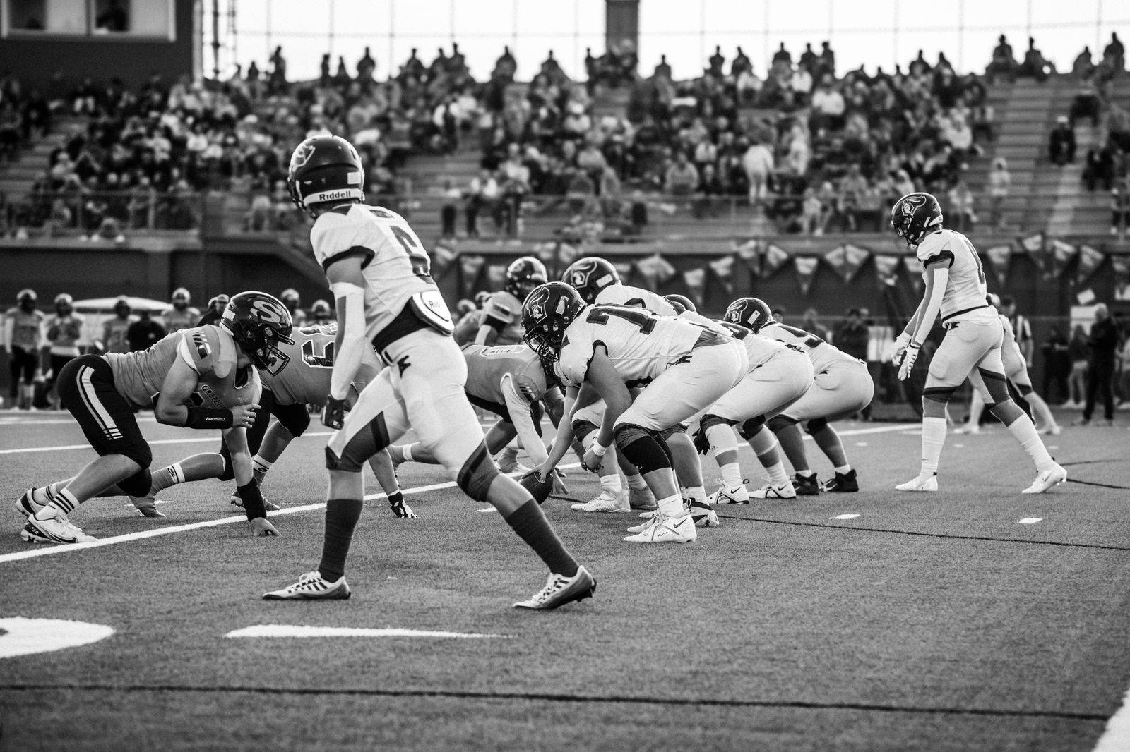 A football stadium crowd, a popular day trip from Toronto through Windsor to Detroit