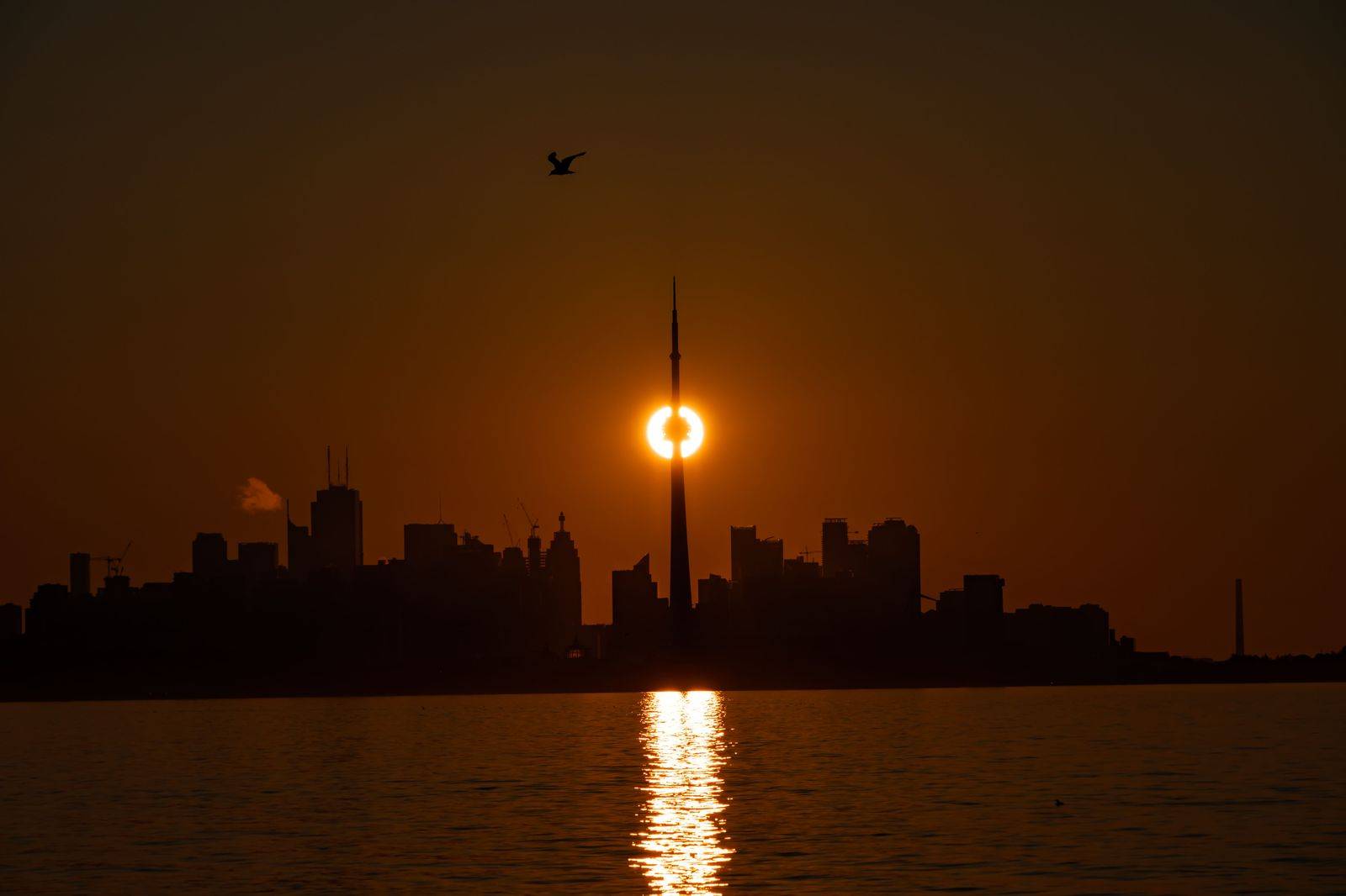 The Toronto skyline and CN Tower in the evening, where our limousine service runs across the city