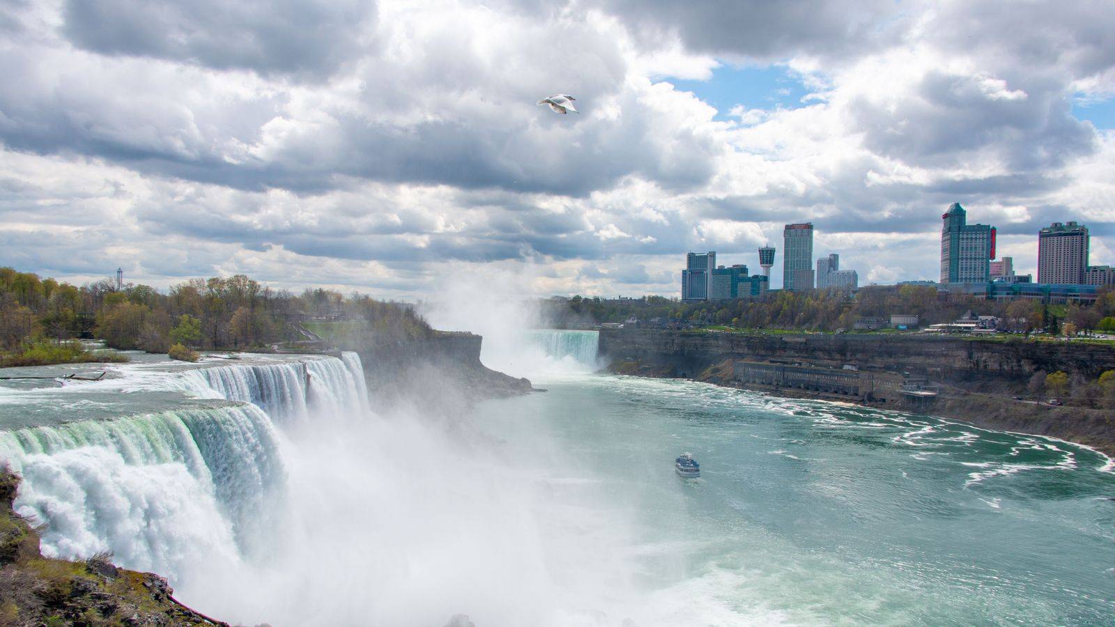 Niagara Falls & wine tours