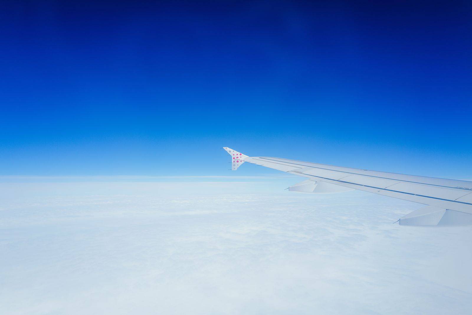 Flights - Fares into Toronto Pearson, Billy Bishop and Buffalo from anywhere, on one search.