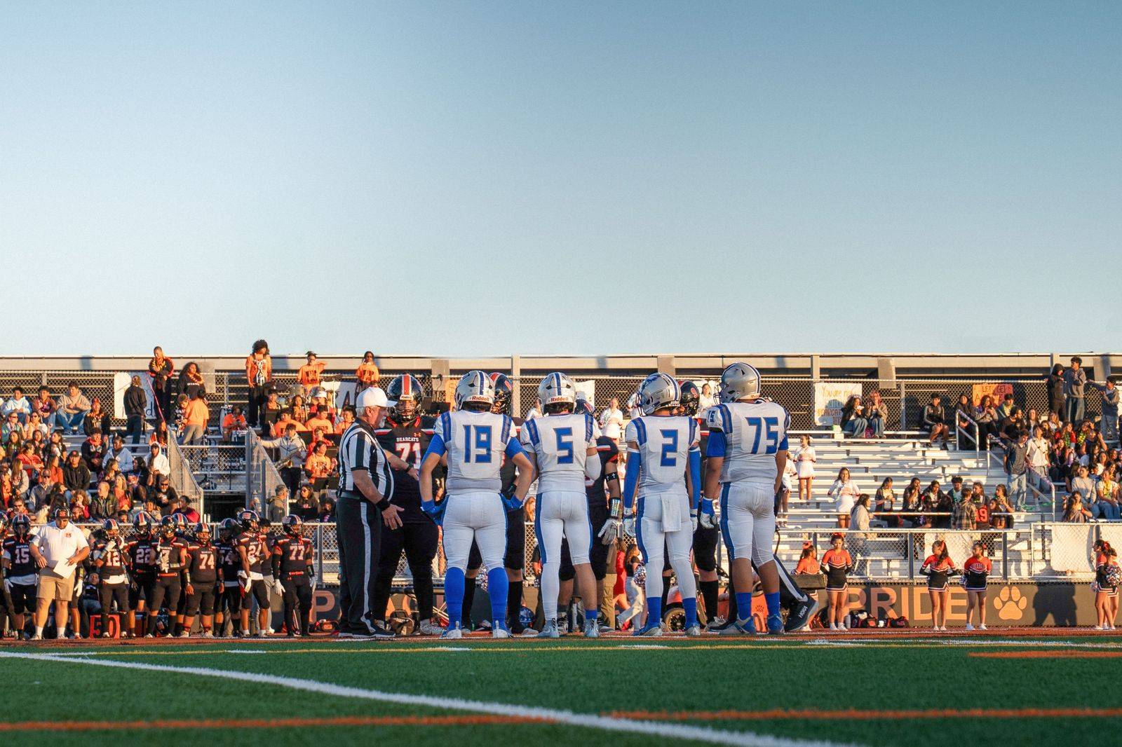 Football fans fill the stands on game day, a common Toronto to Buffalo chauffeur trip