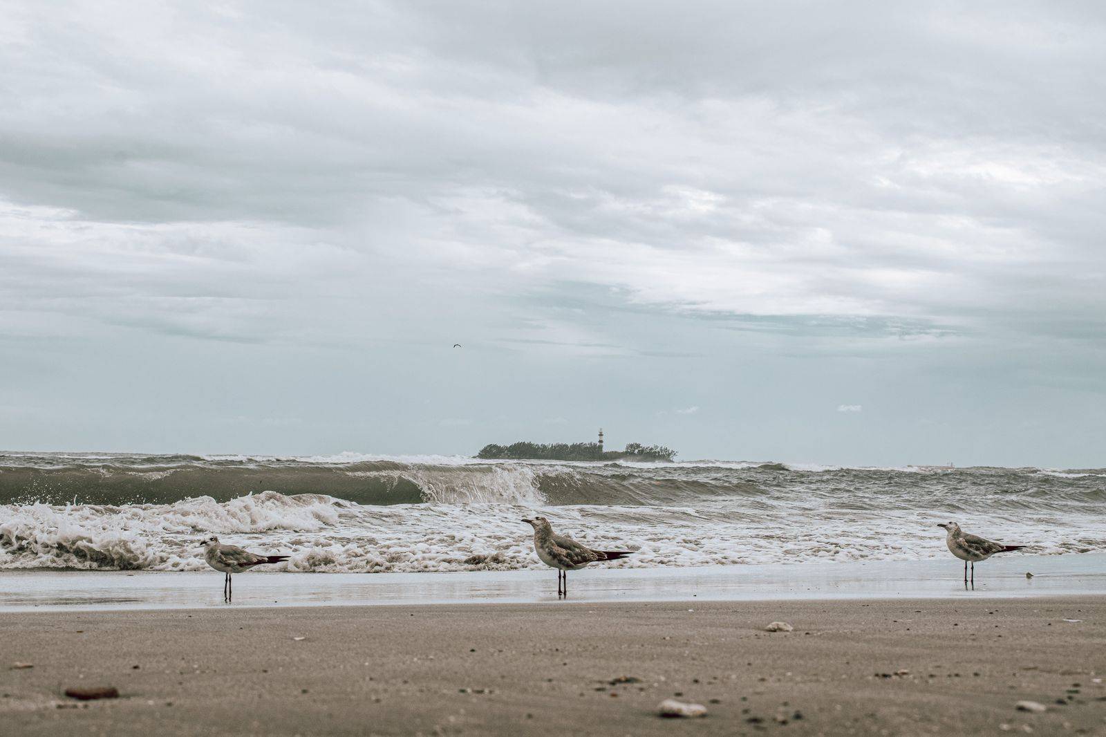 A lighthouse and beach on the Lake Erie shore near Erie, Pennsylvania