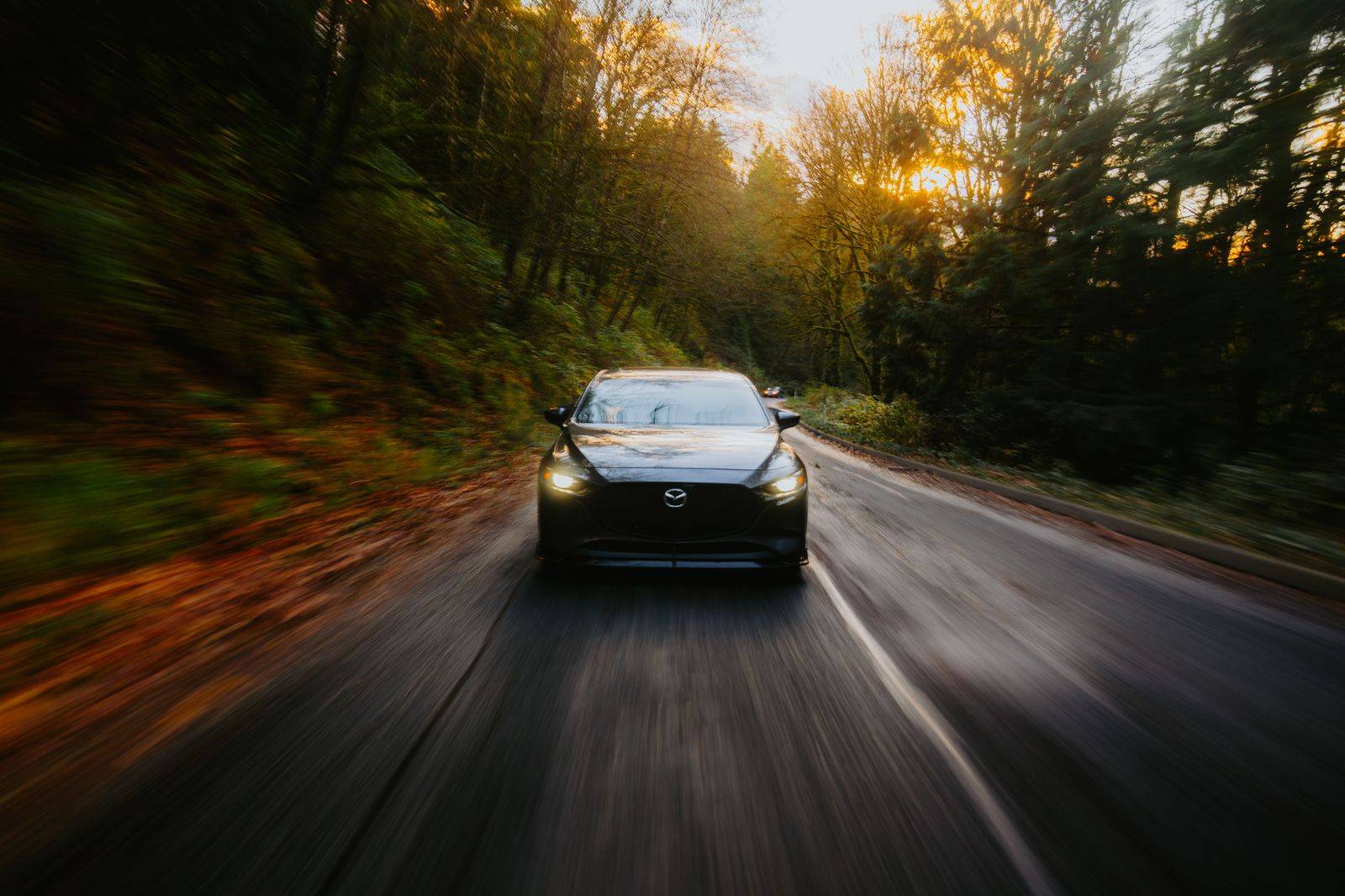 A black sedan on a tree-lined highway during a long drive between Washington and Toronto